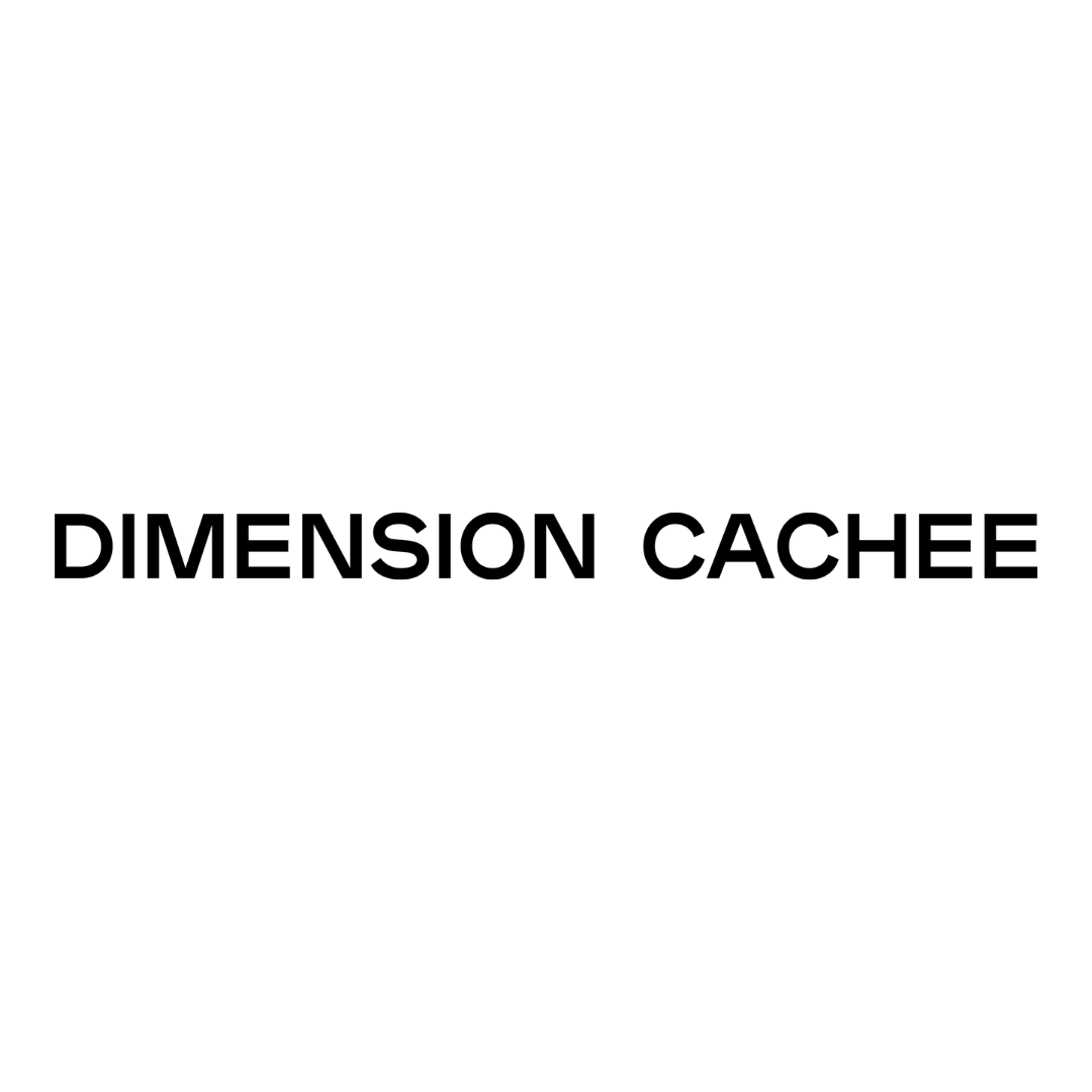 Logo Dimension Cachée