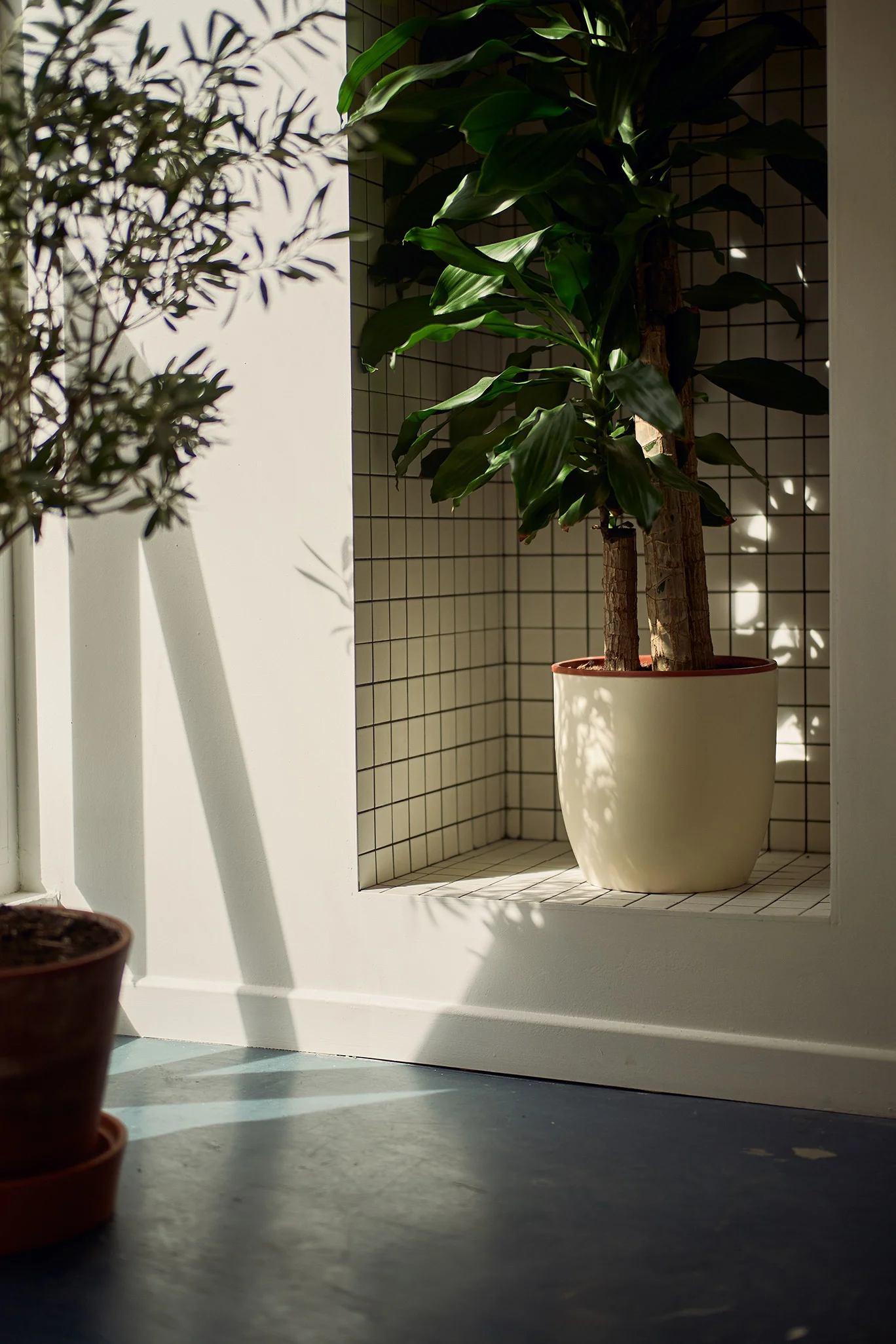 HVO20190318_SPM_MAISON-GALANT_029.jpg