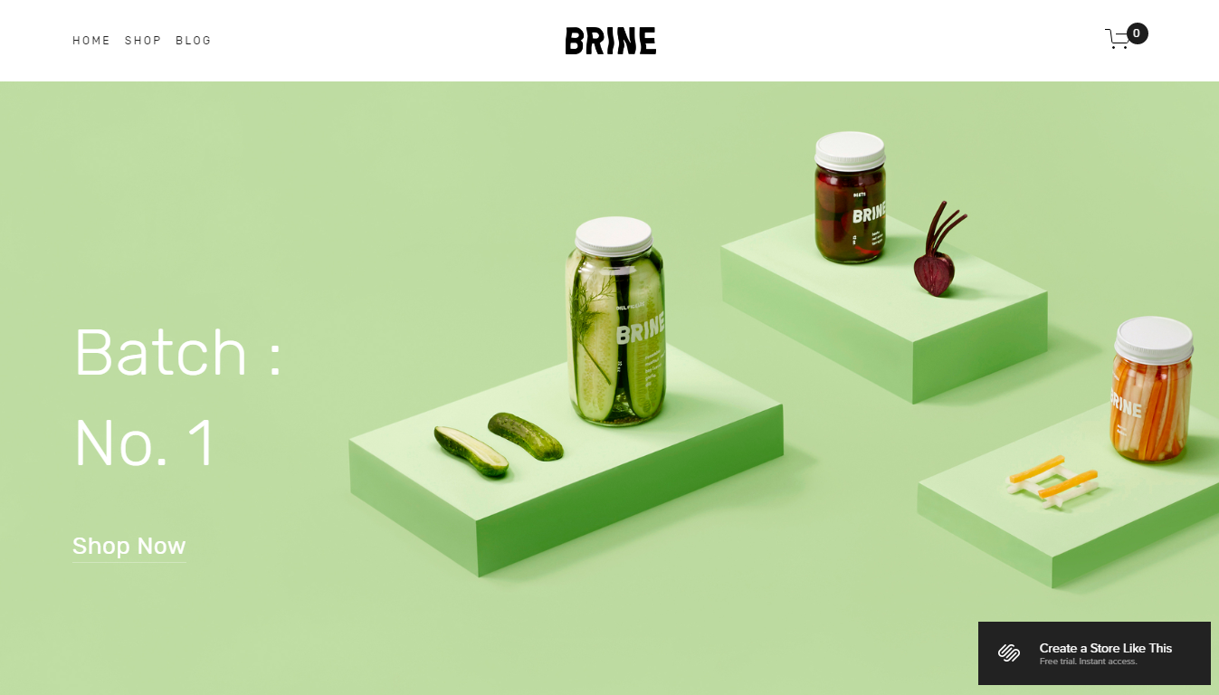 Squarespace Brine Template