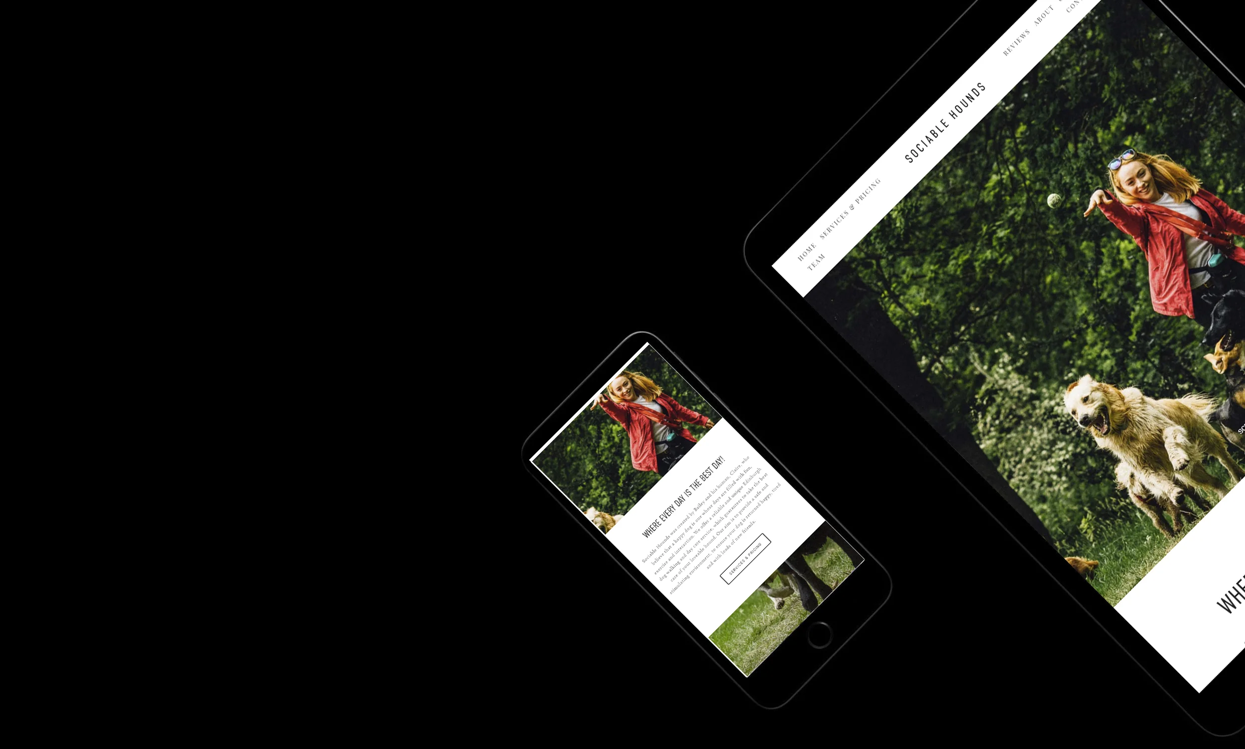 sociable-hounds-Squarespace-dog-walker-website-small-business.jpg