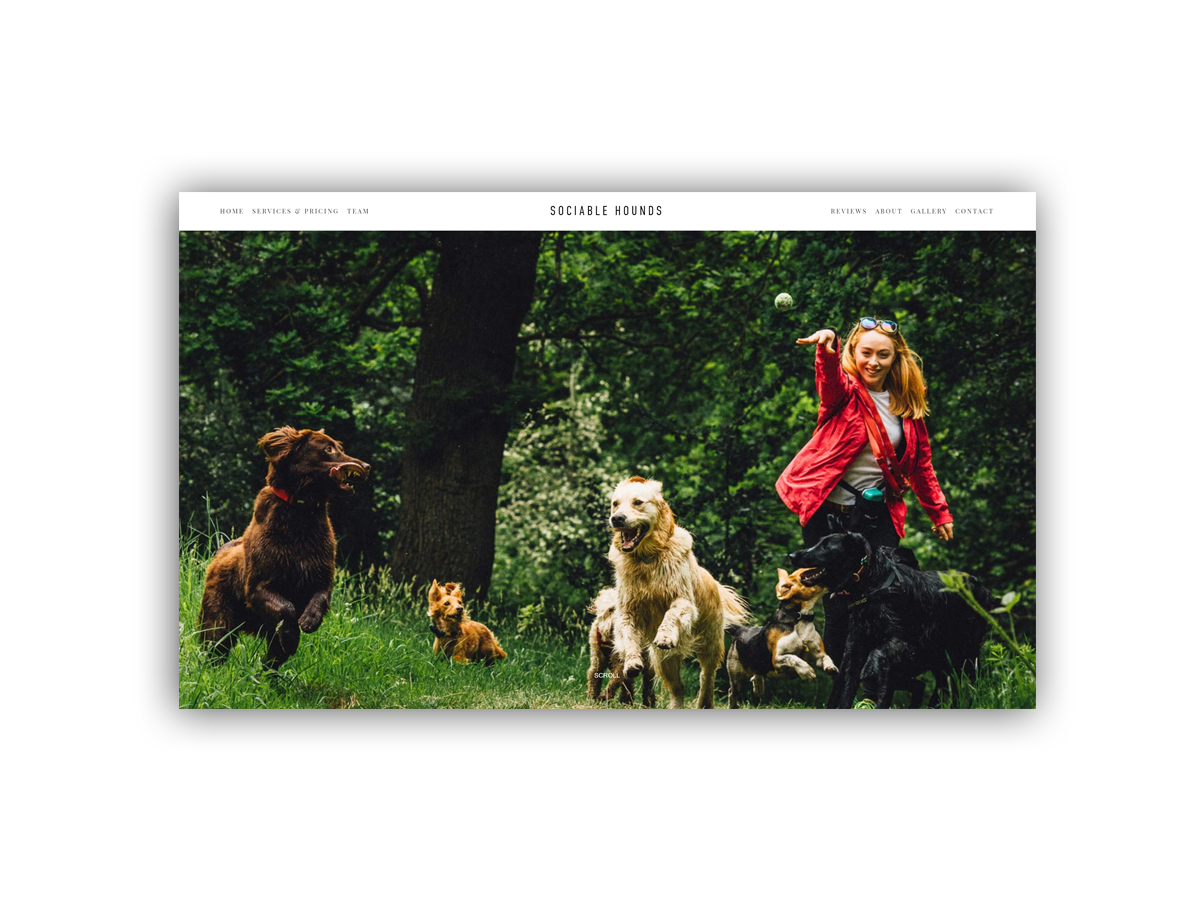 Sociable-hounds-dog-walking-service-edinburgh-squarespace-website-2.png
