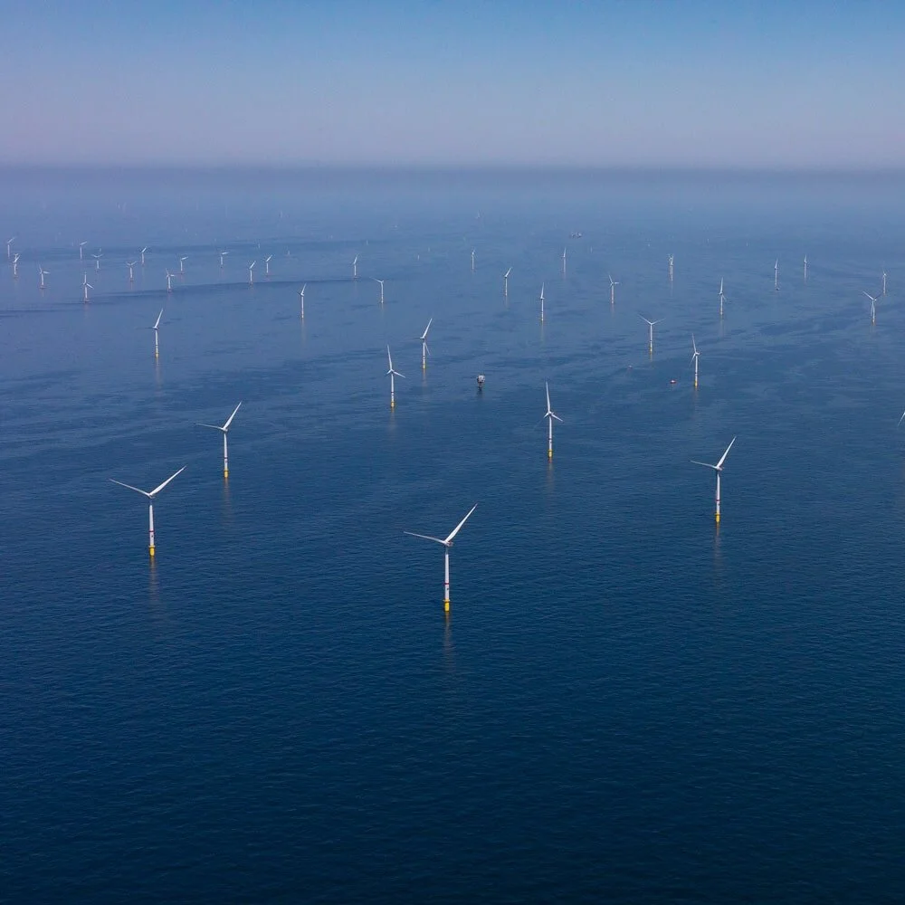 Floating Energy Allyance