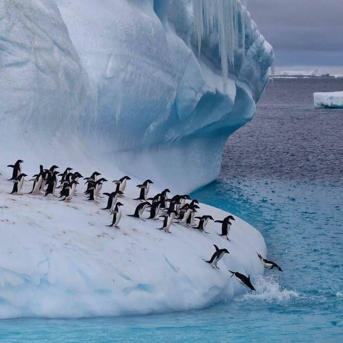 Hector Skevington Postles