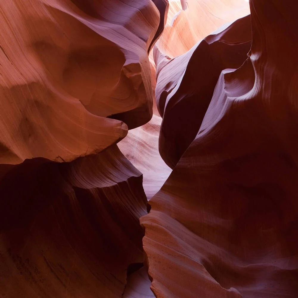 John Mullins Photography