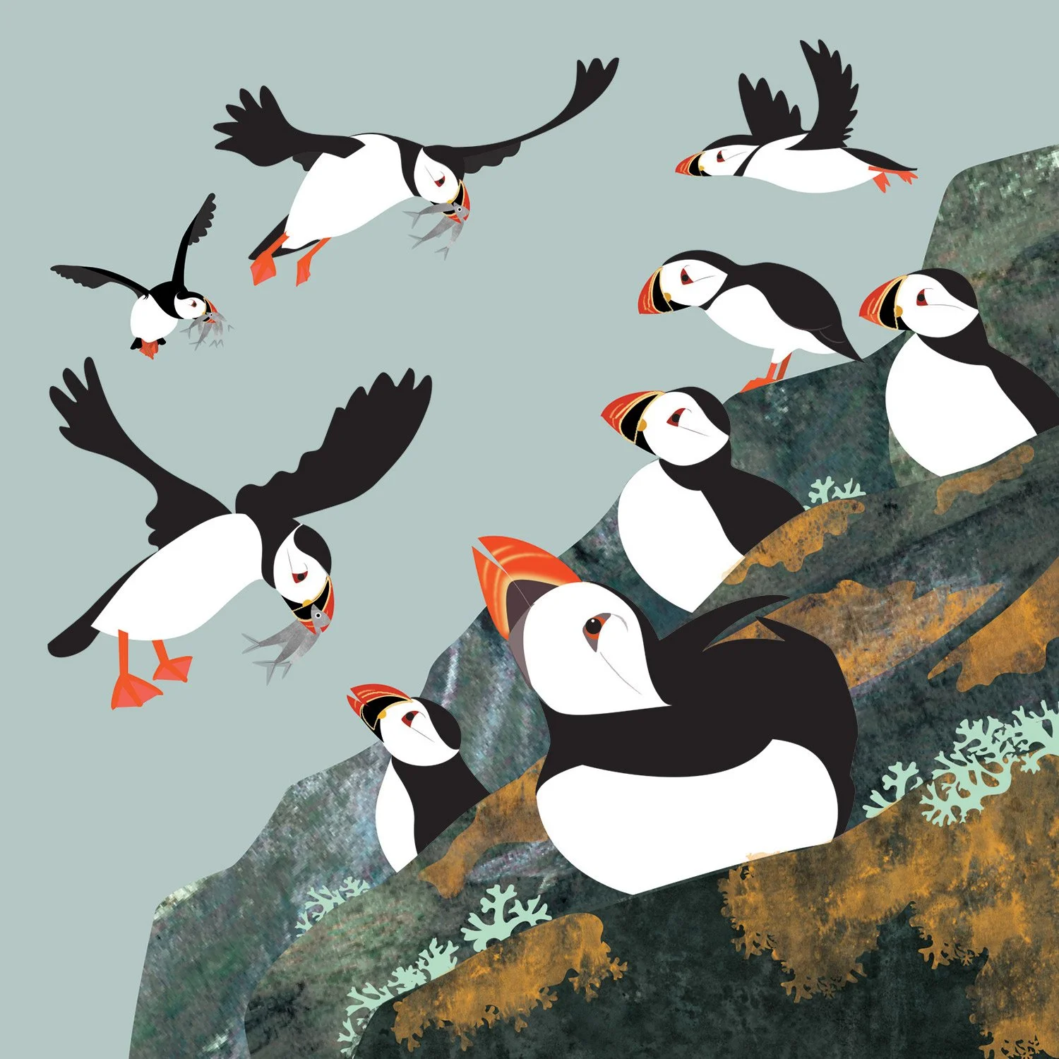 Rachel Hudson Illustration