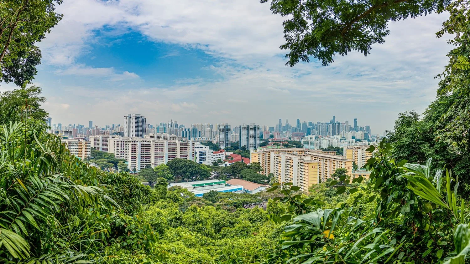 squarespace-website-design-professional-businesses-incorporation-singapore-piloto-asia-banner-min.jpg