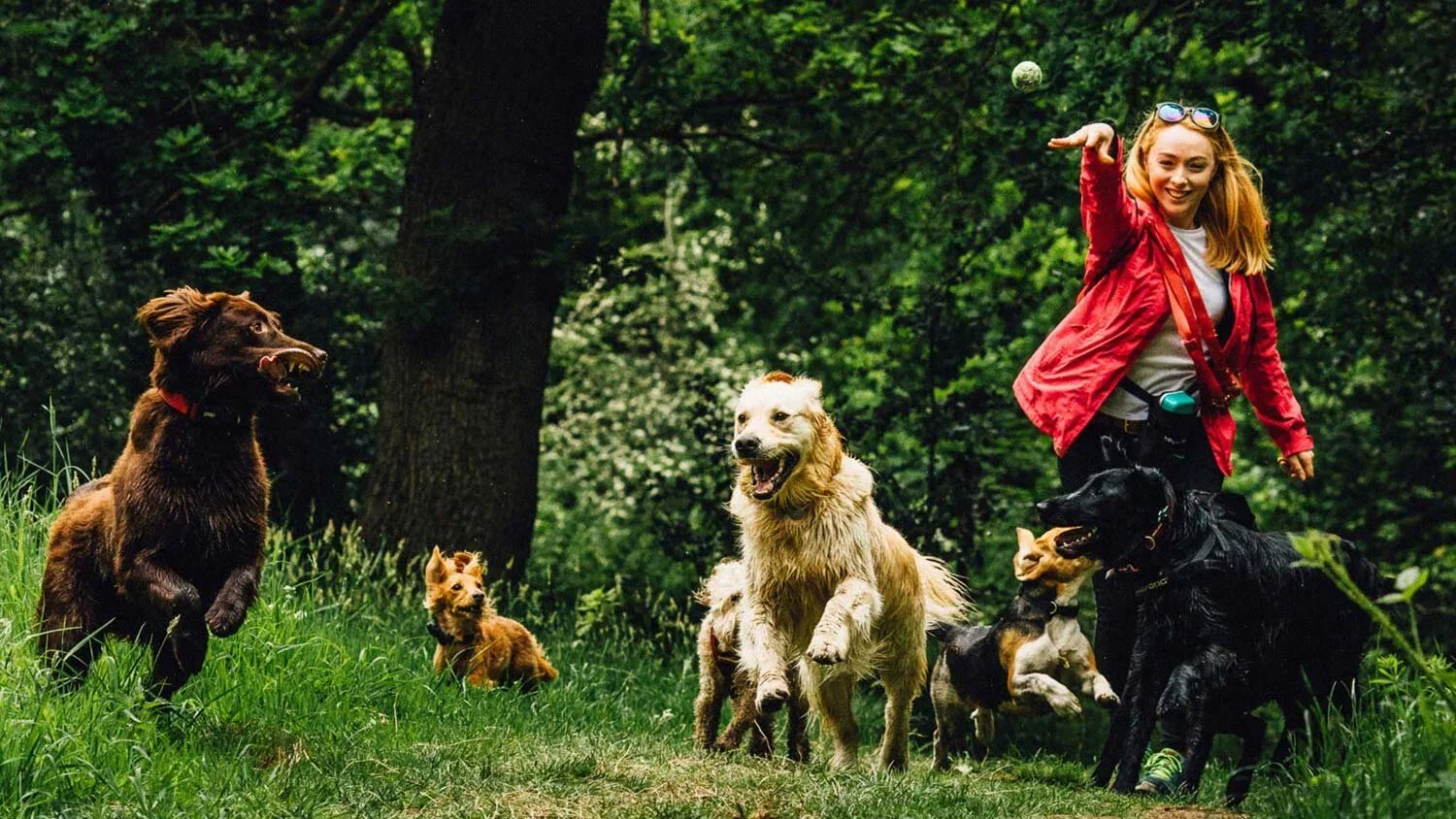 Sociable Hounds - Edinburgh