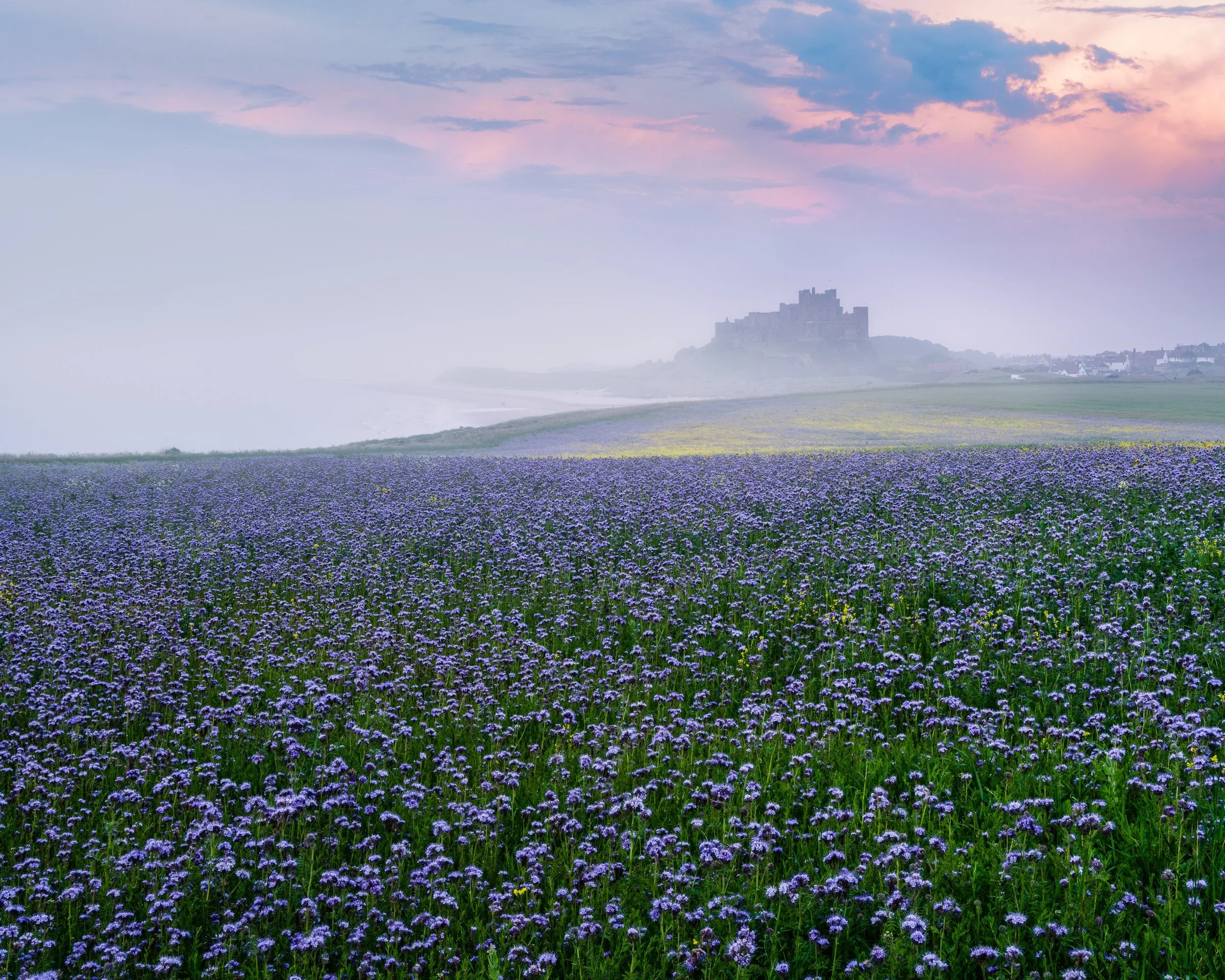 Alan Leightley Photography