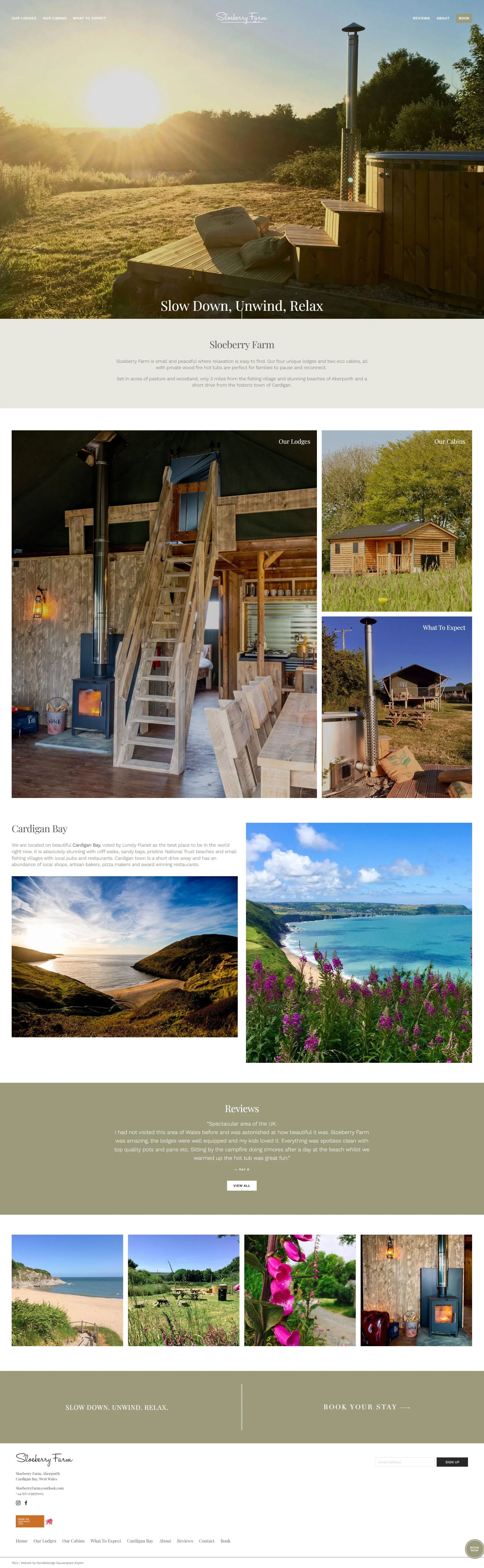david-and-george-squarespace-websites-sloeberry-farm-cardigan-bay-wales-holiday-cabins (1).jpg