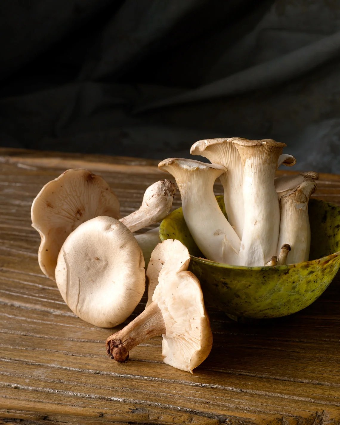 Ceramics_Test2_mushroom_c_00001.jpg