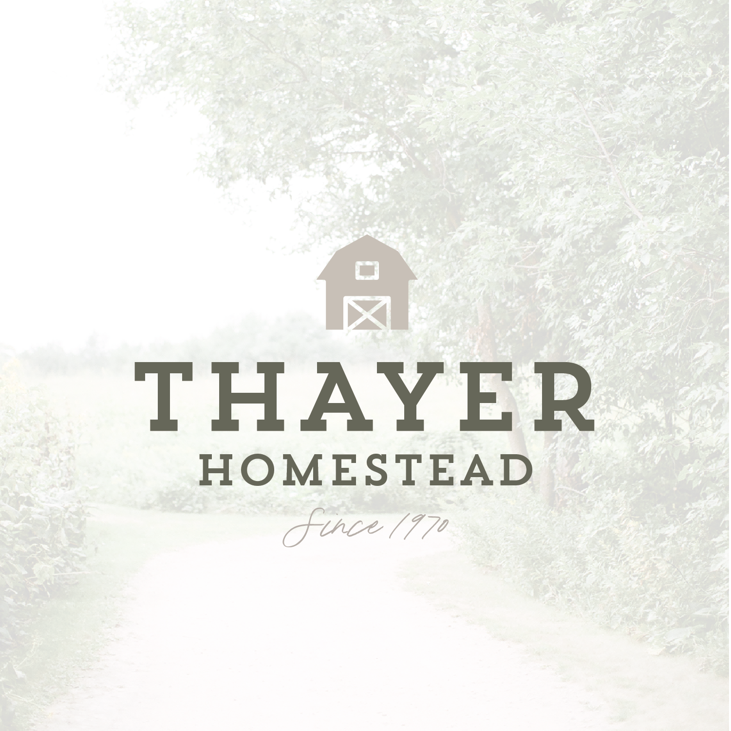 The Jula Paper Brand Shoppe | Thayer Homestead Brand