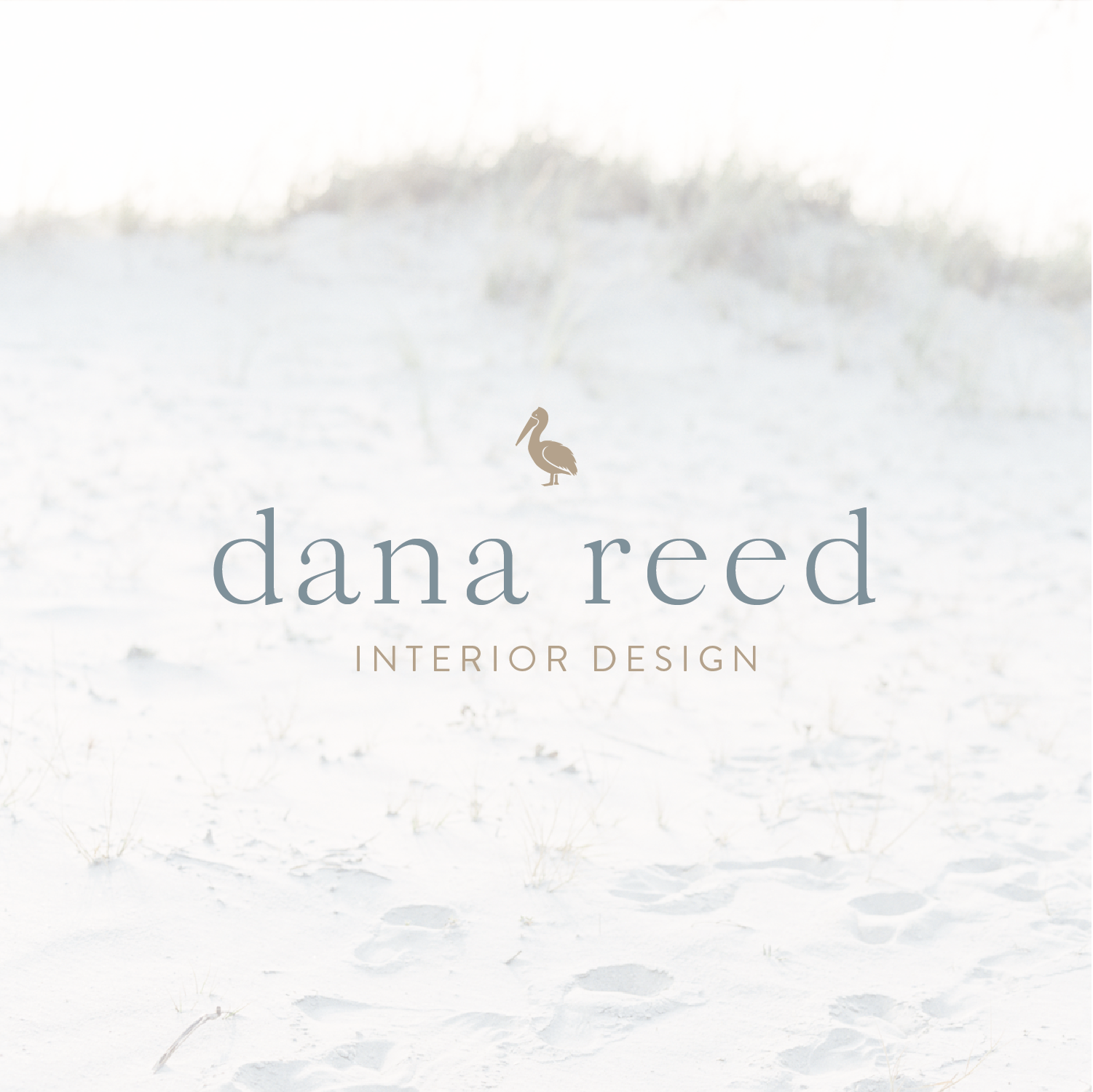 The Jula Paper Brand Shoppe | Dana Reed Interior Design Brand