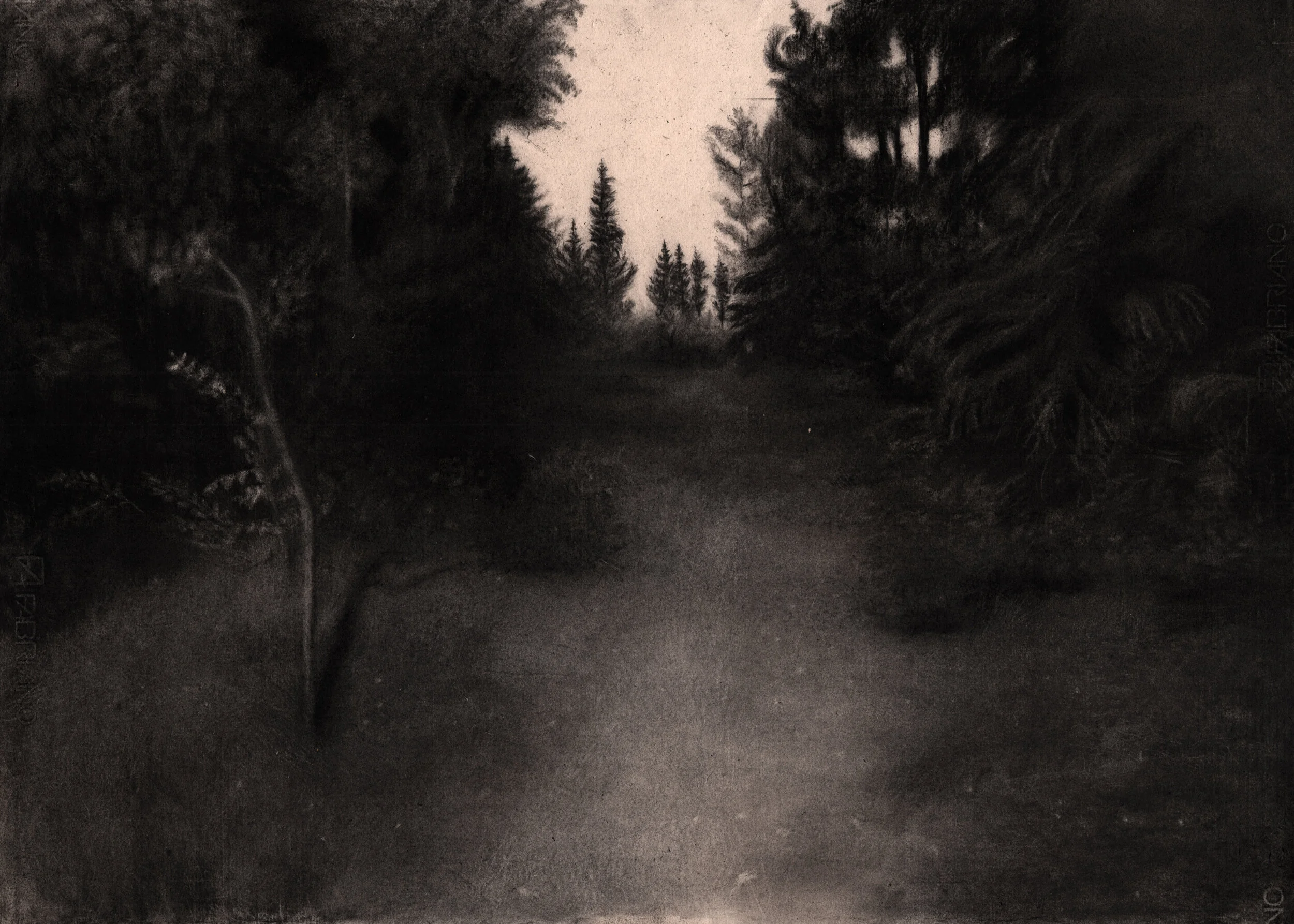 skogen2LD.jpg