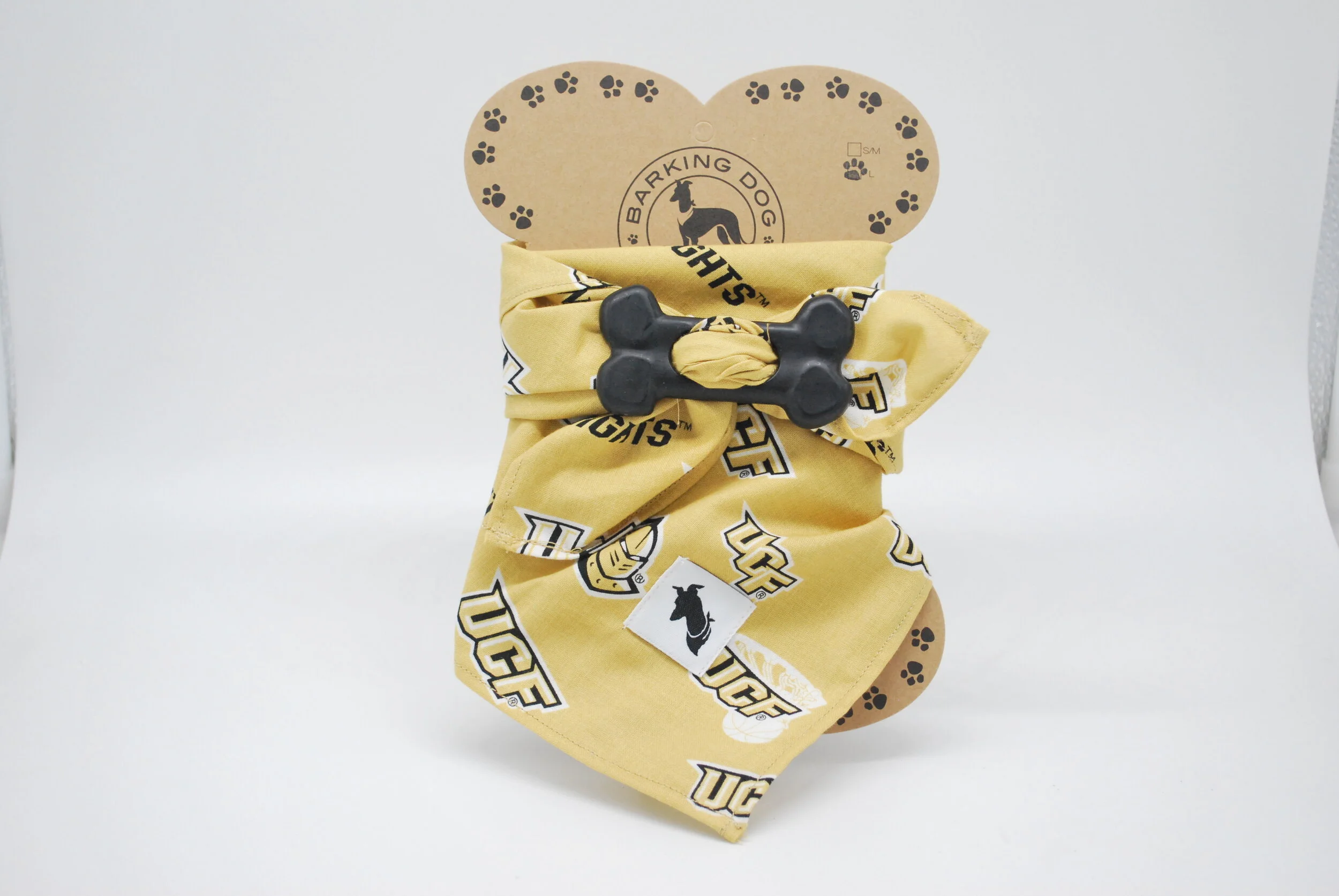 University of Central Florida