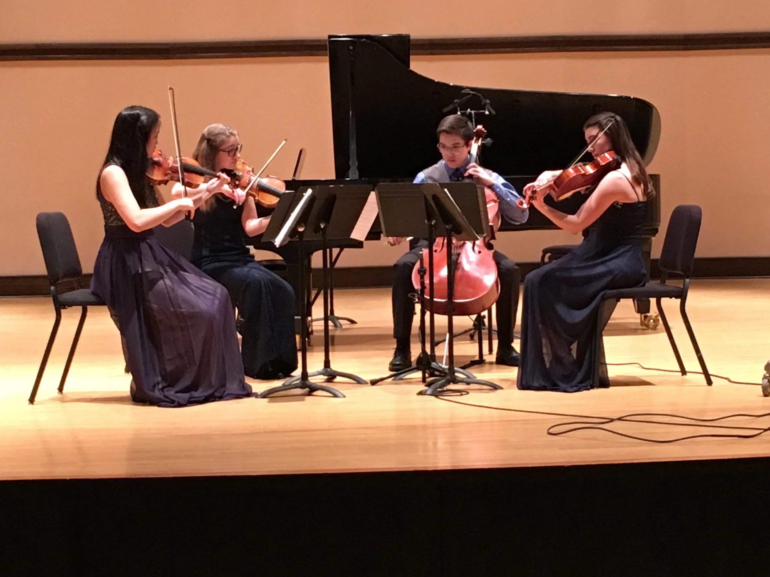 Chamber Music Academy in concert