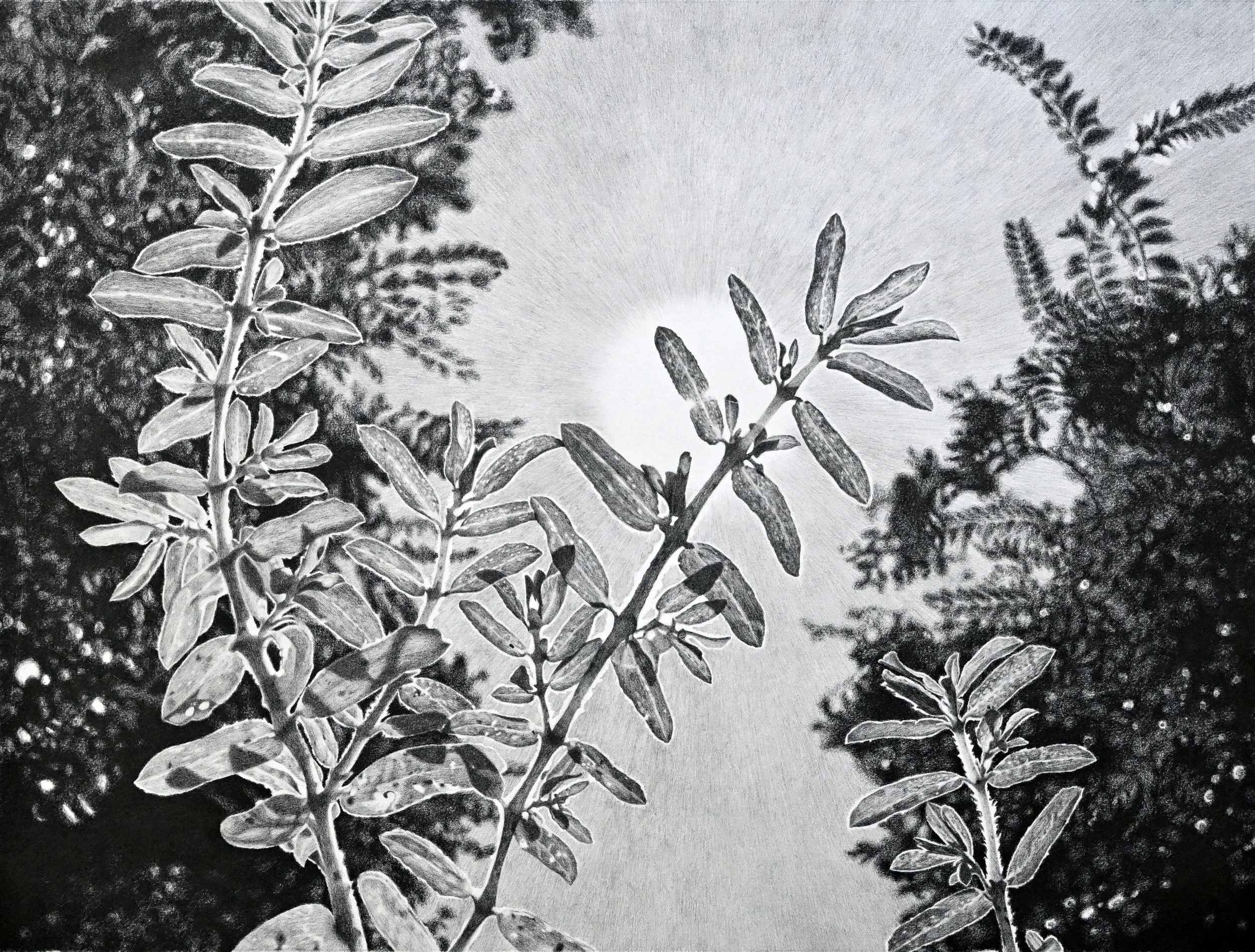 Friday, June 13 2025 through Friday, July 11, 2025 Ope n in g Reception: 6-9 p.m. Friday, June 13 Rachel Beer i s a visual artist and educator from Central O k lahoma who is currently based in Lawrence, Kansas. Her practice utilizes