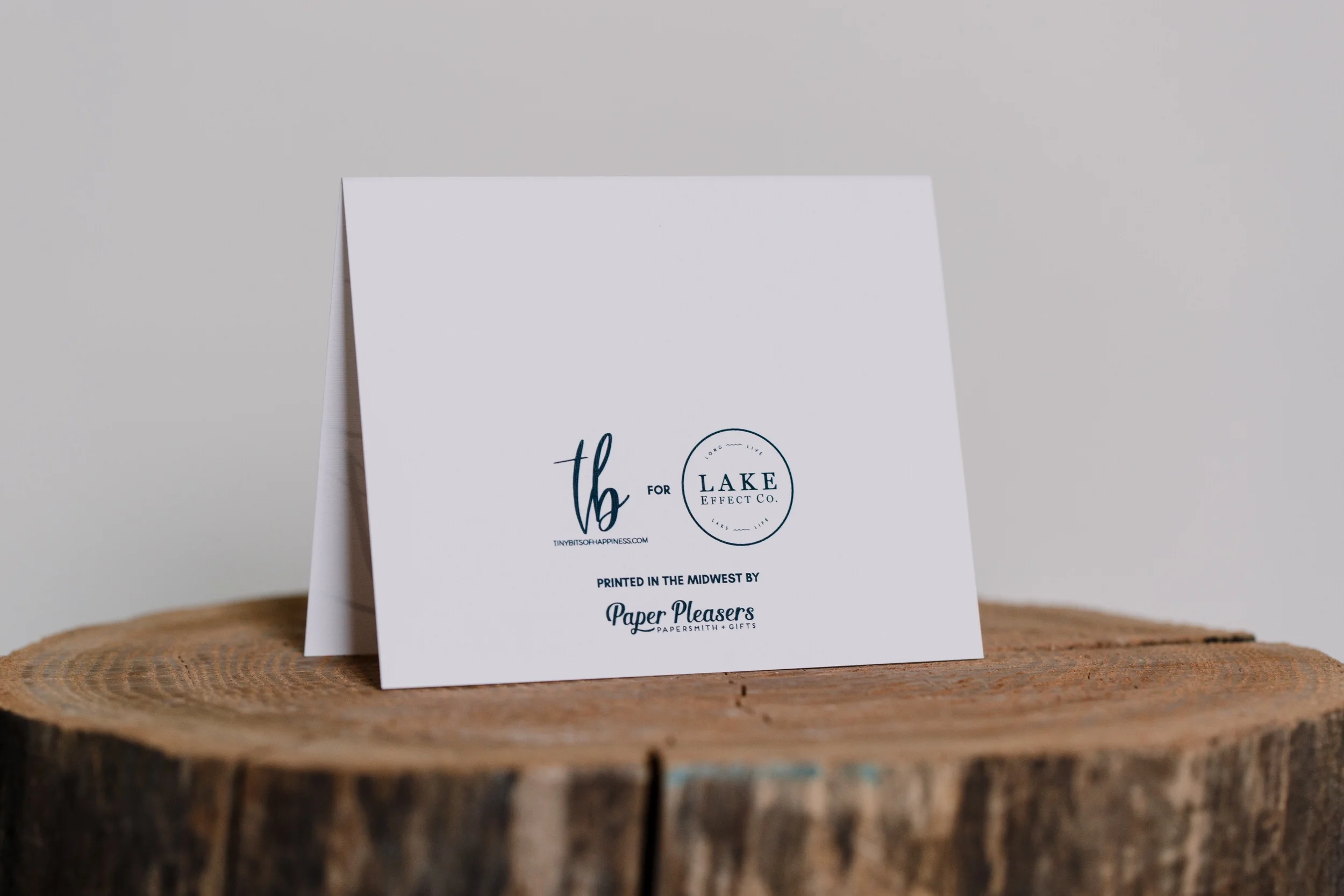 3.28.19 Photo 3.jpg