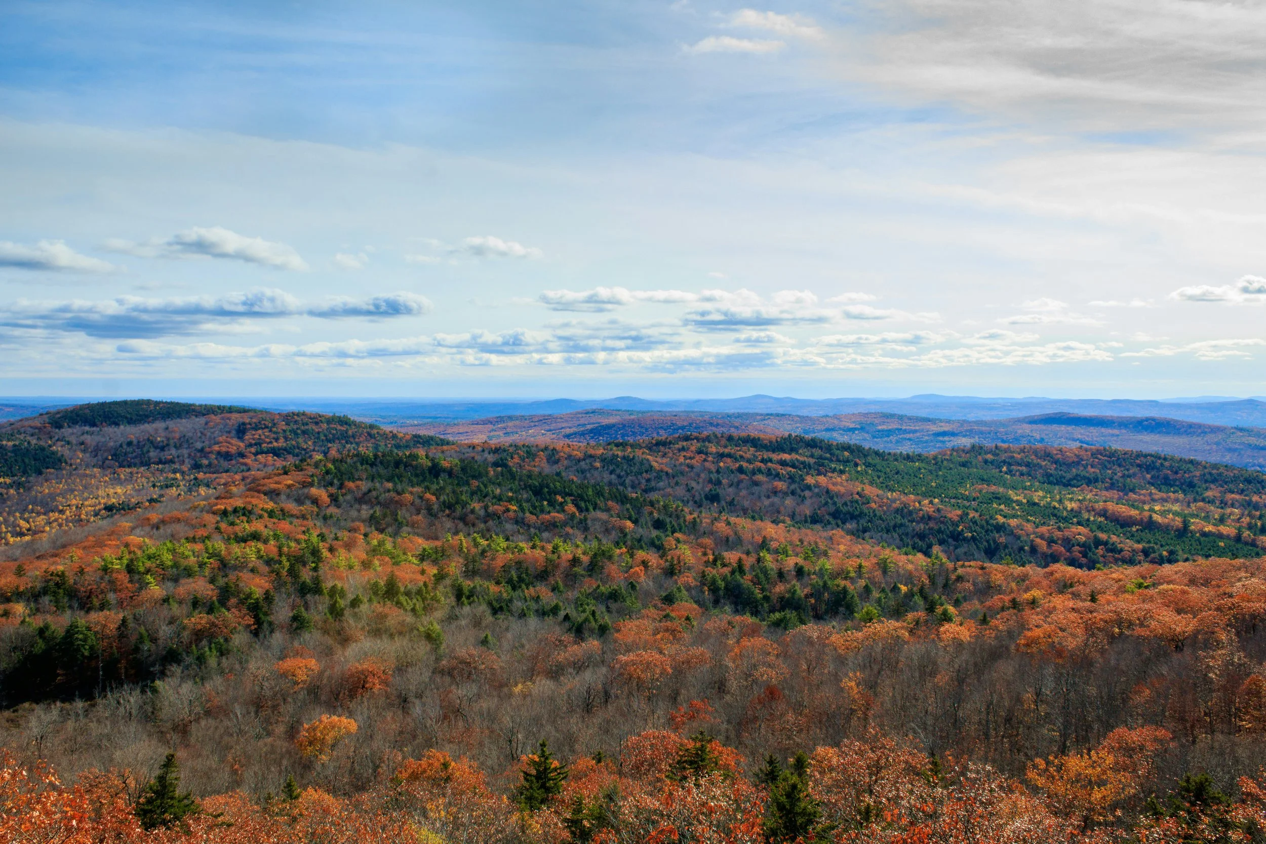 fall+foliage