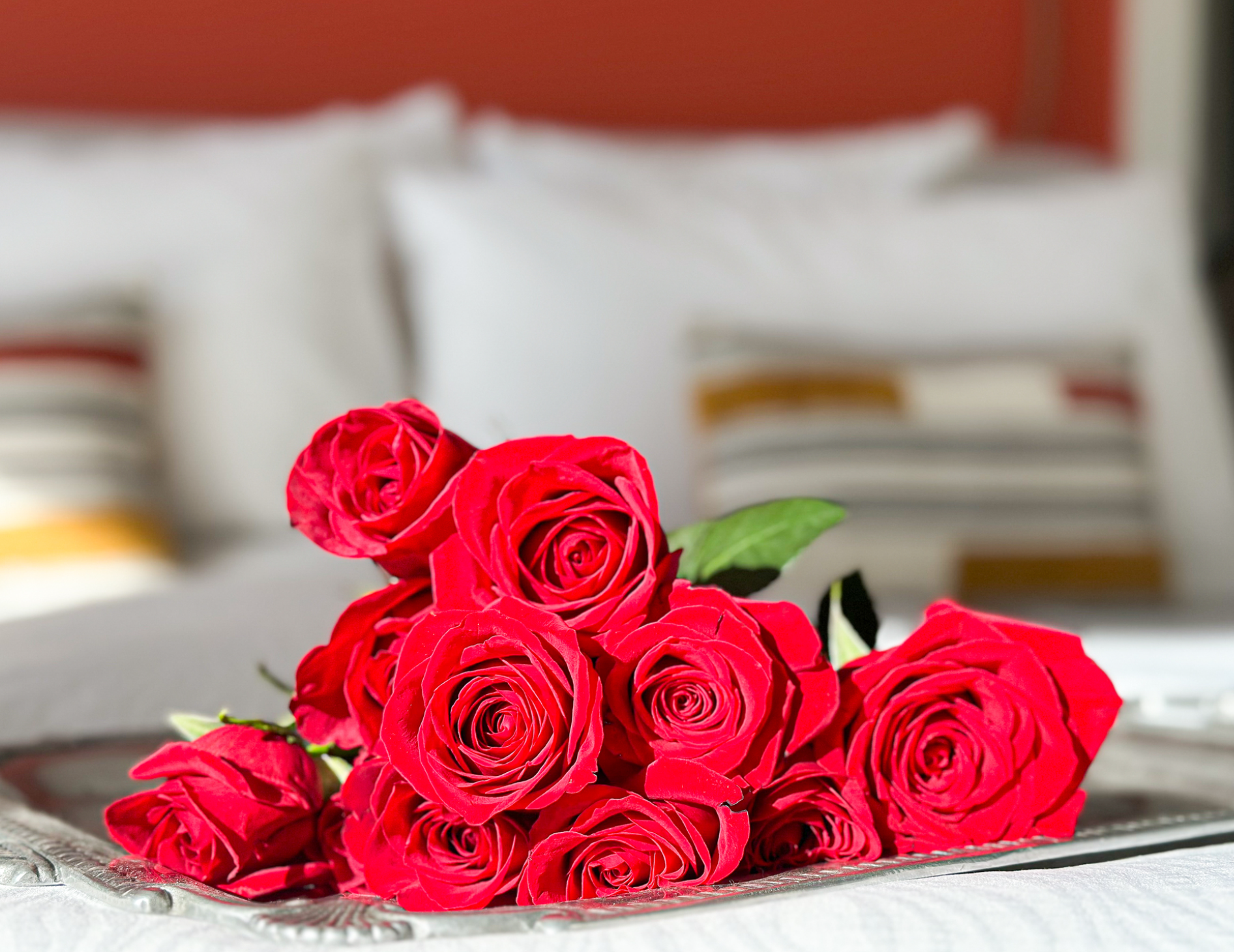 Half dozen red roses on a silver tray on a bed with white linens