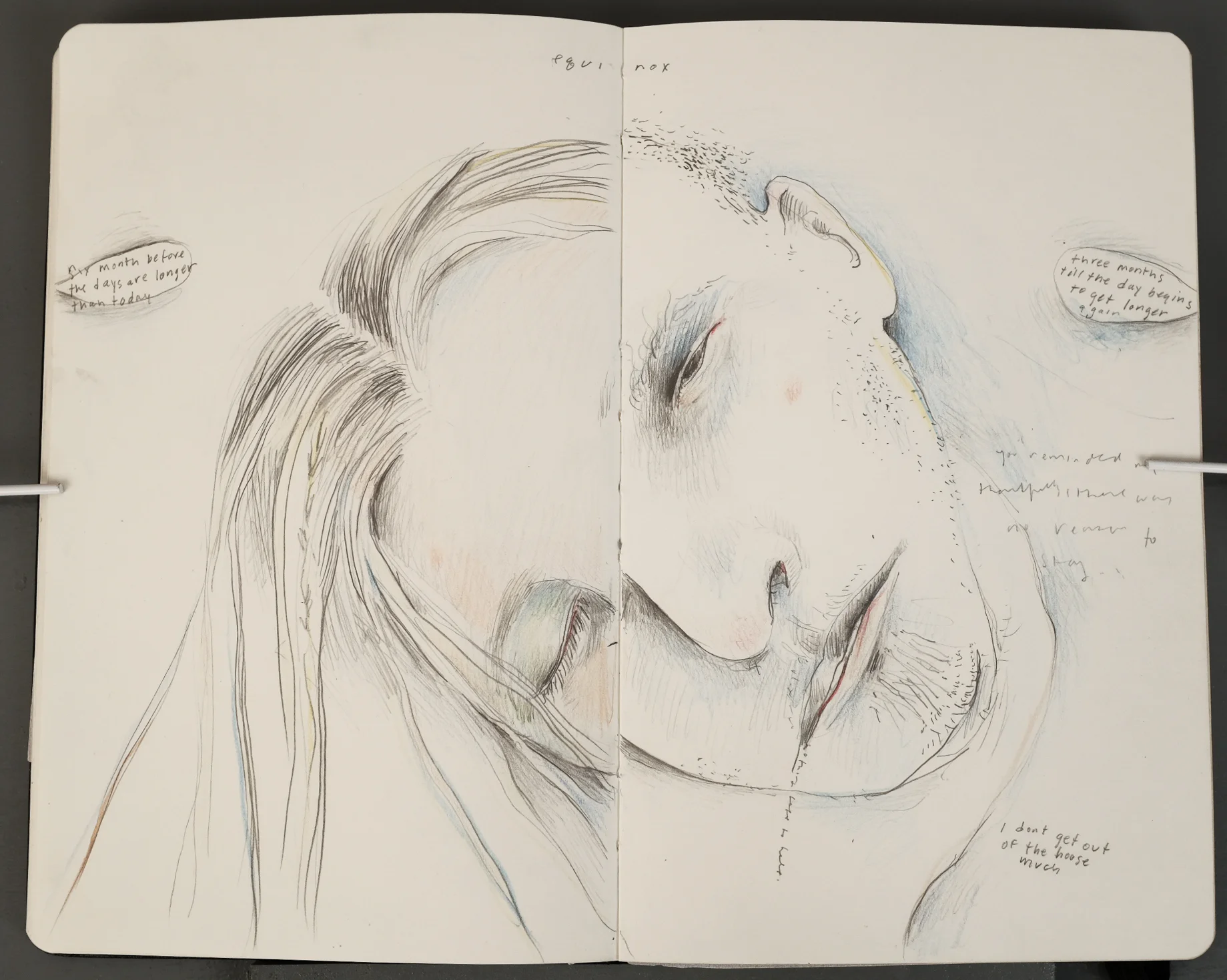 sketchbooks-0912.jpg