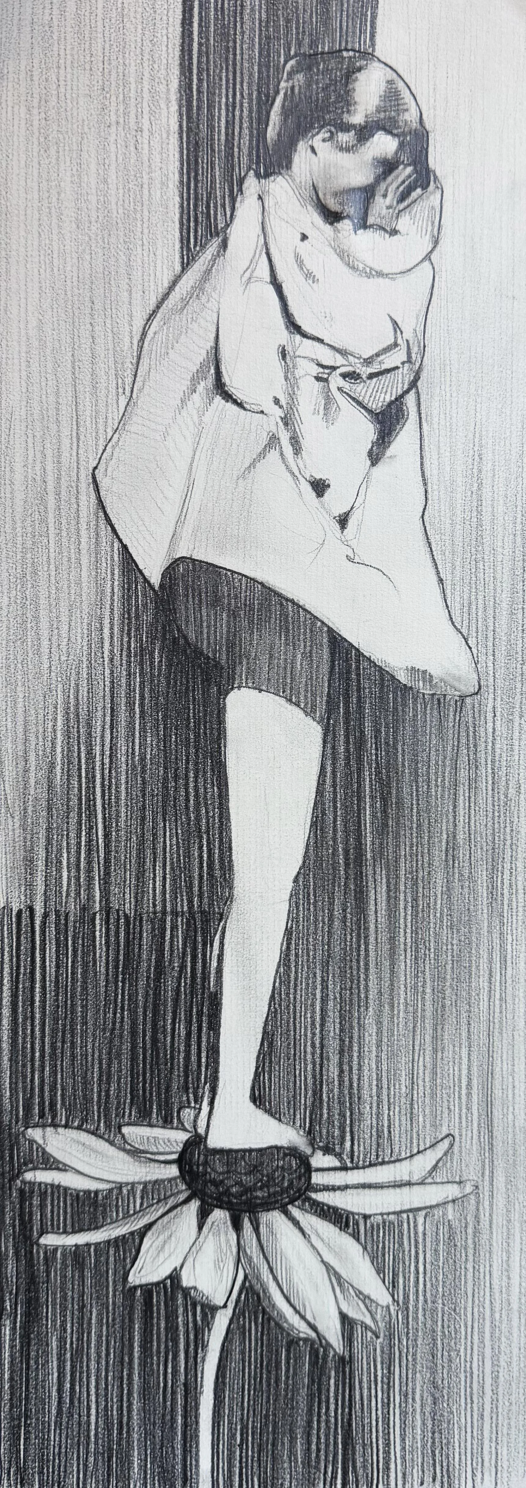 Evening Echinacea (5”x15”) Graphite on Paper