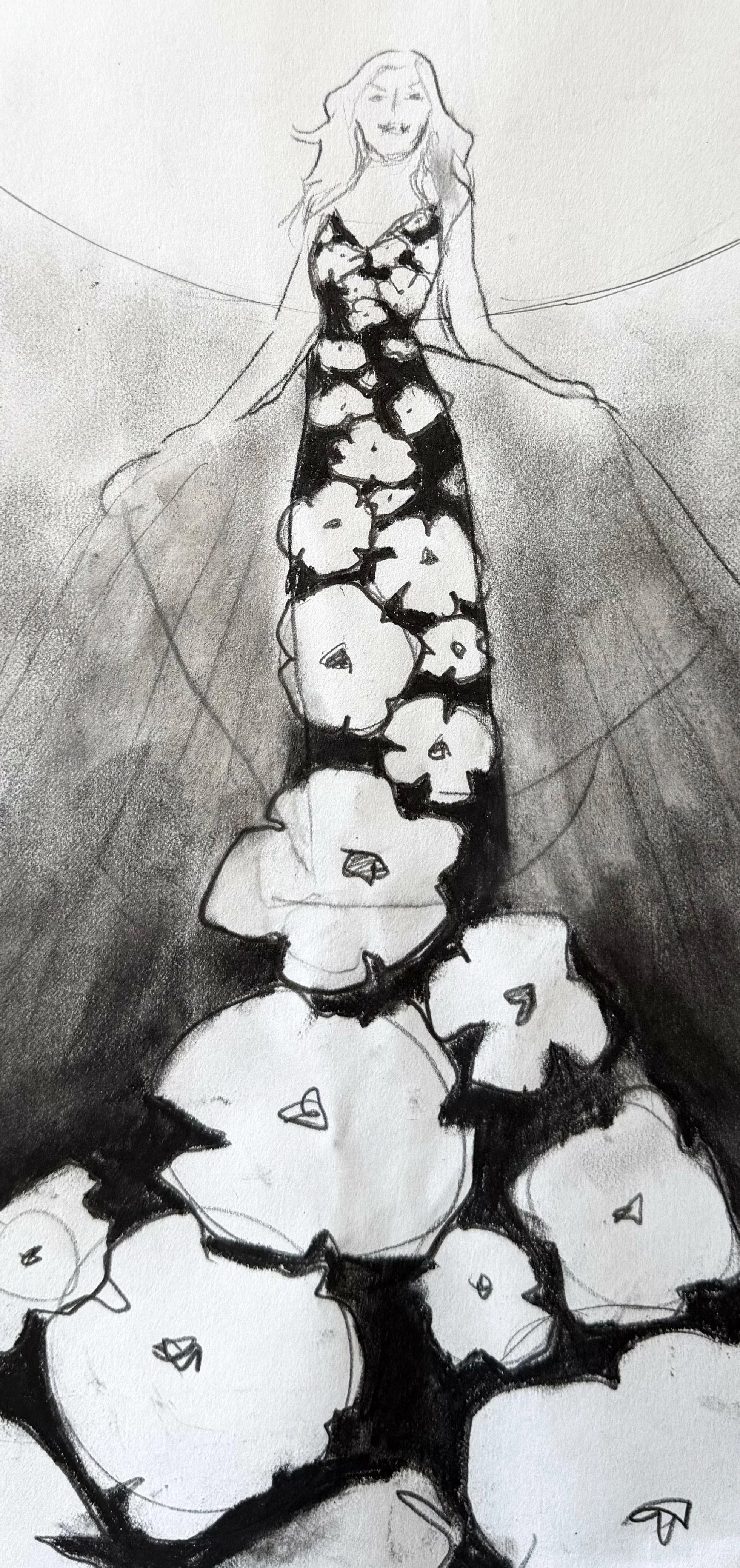 Perceptive Poppies (5"x11") Graphite and Charcoal on Paper