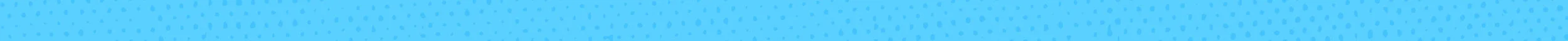 MR-StayRooted-Divider-Blue.jpg