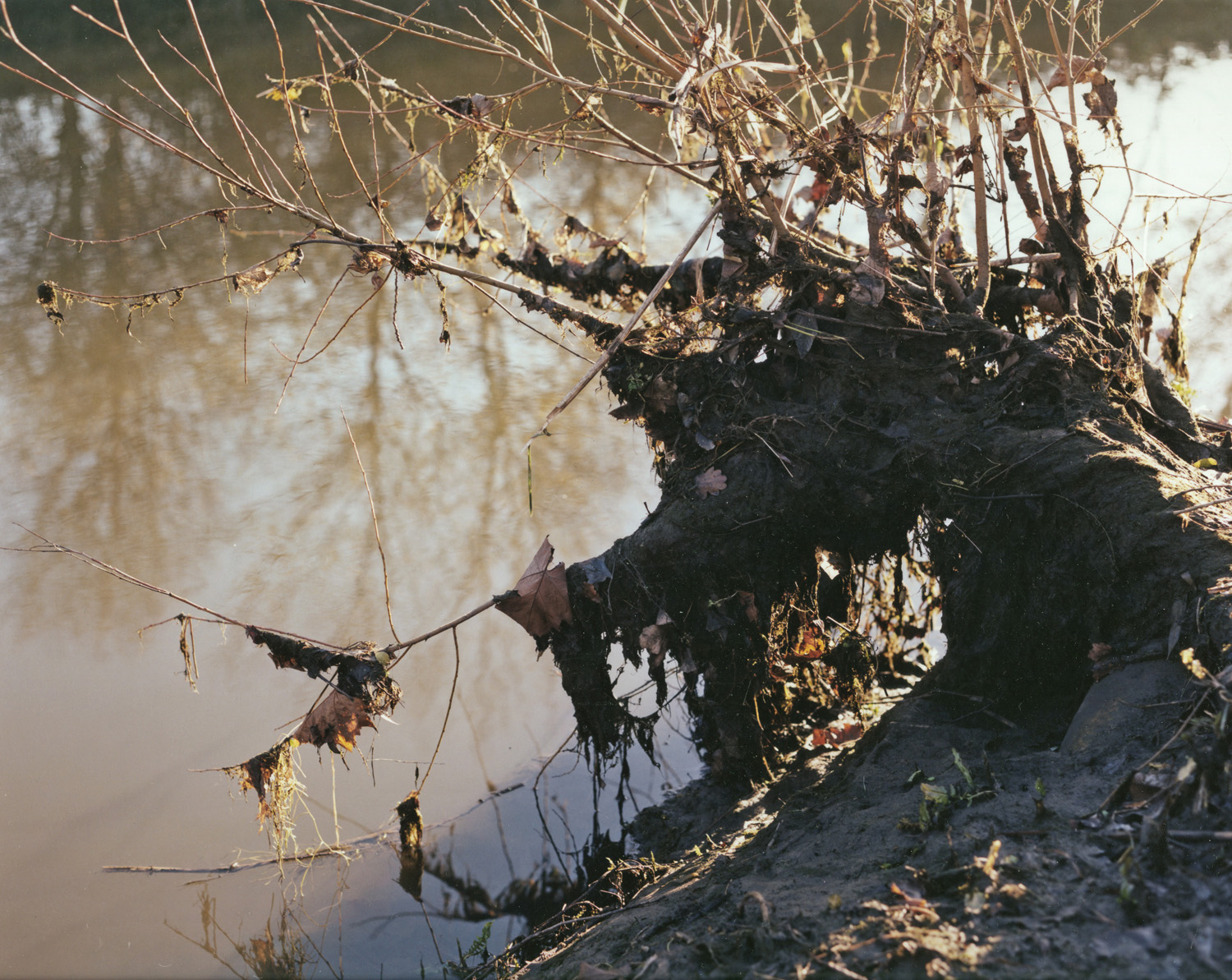 Untitled-River Lea-2.jpg