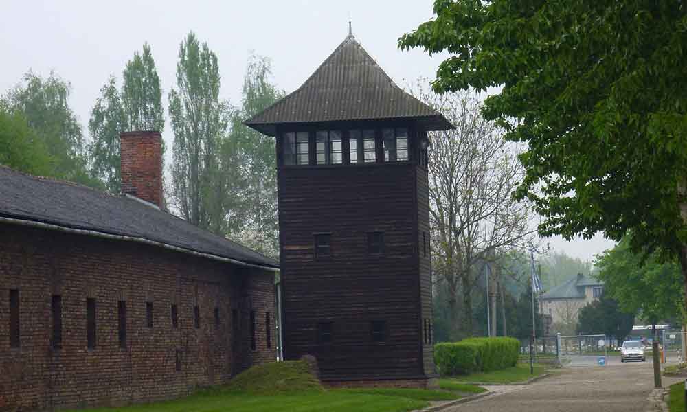 P1000785.jpg