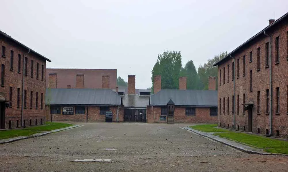 P1000827.jpg