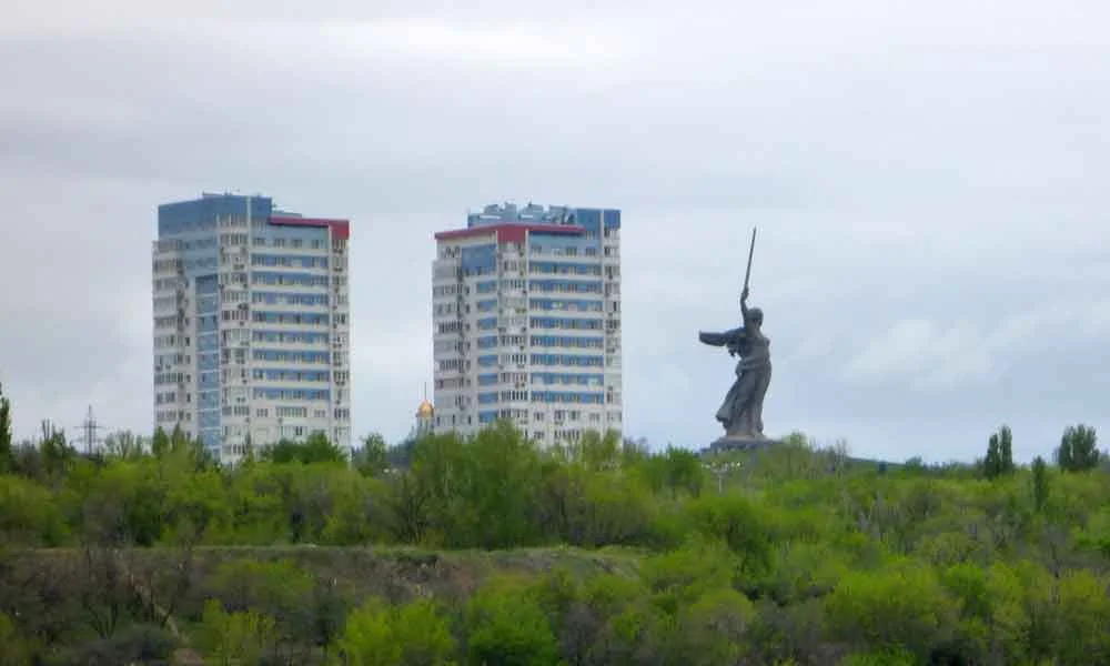 P1010224.jpg