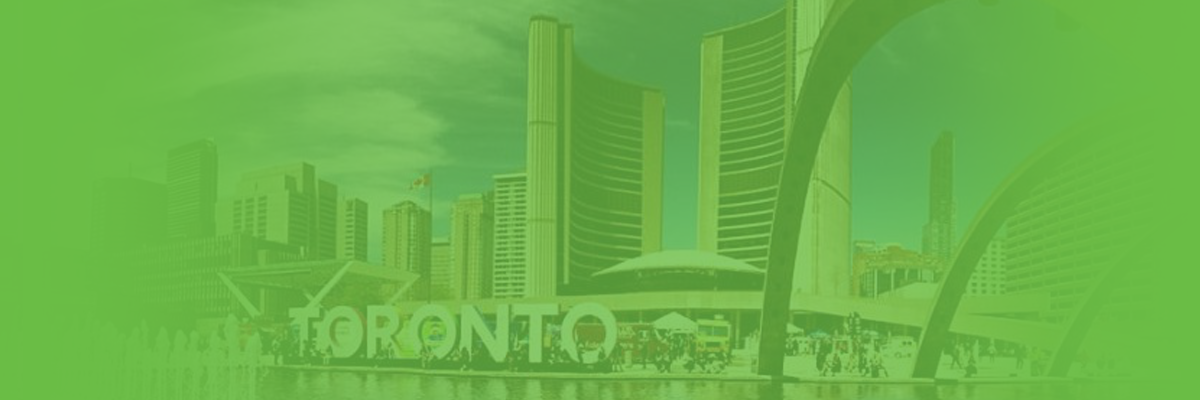 Web header 5.png