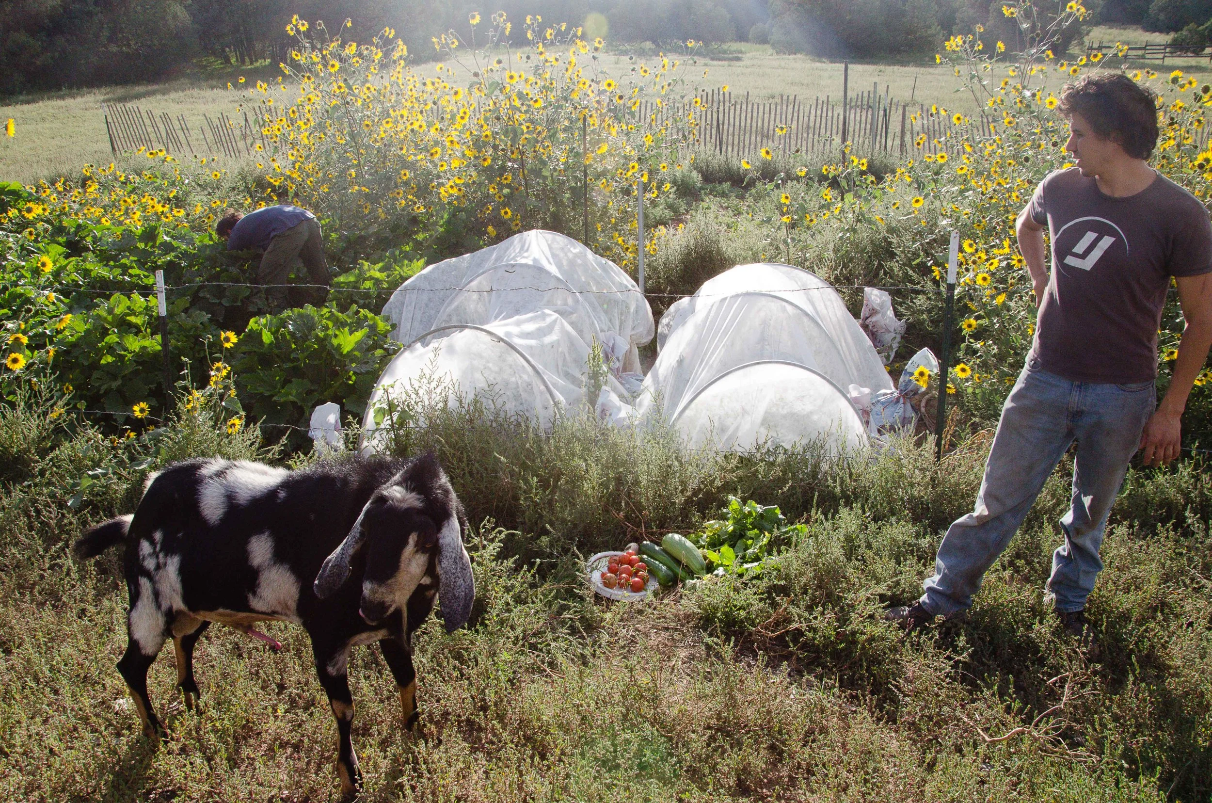 how our garden grows-12.jpg