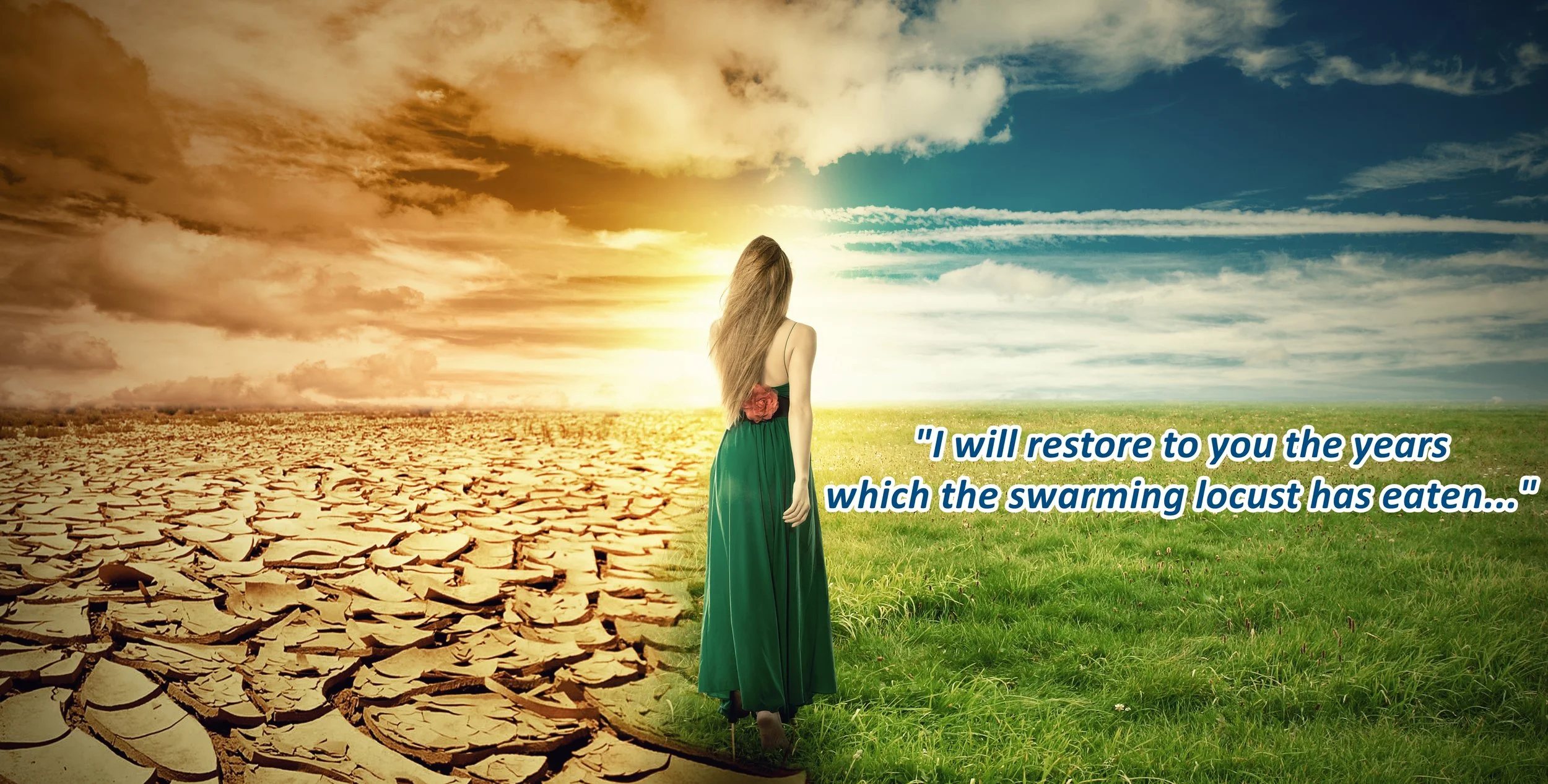 A Climate Change Concept Image. Landscape green grass and drought land 