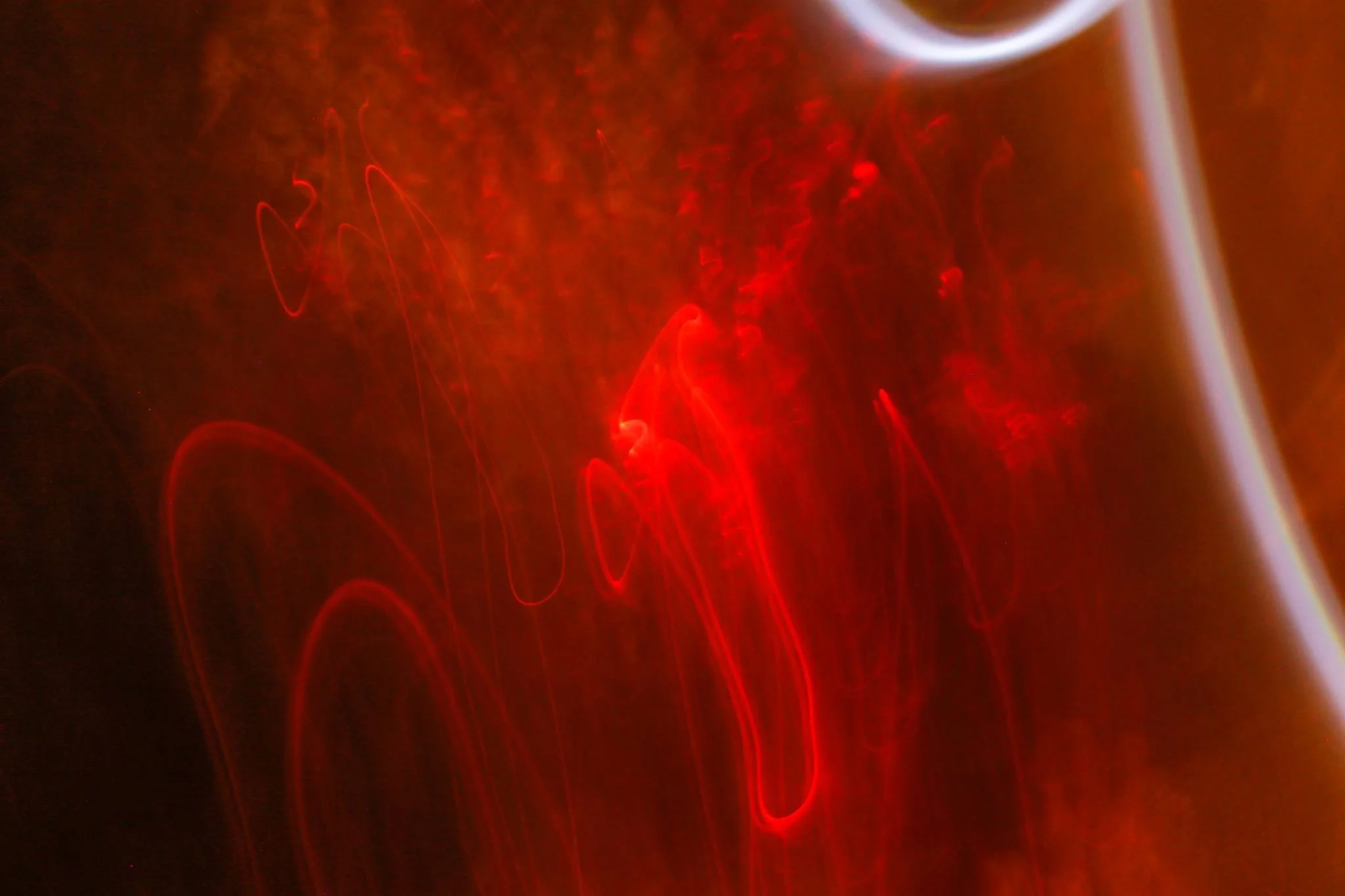 13403984_977510512369329_884287250715413053_o.jpg