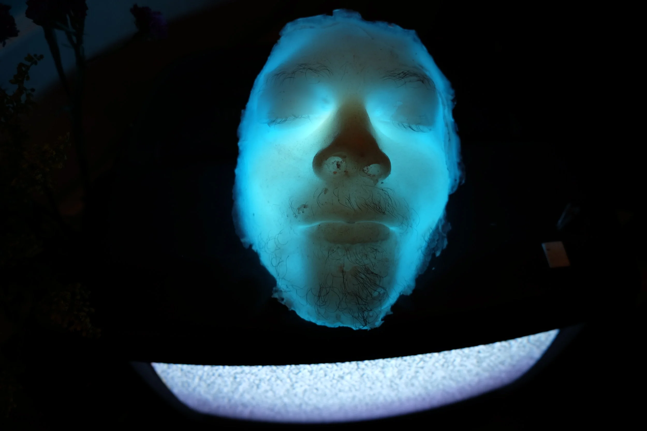 (selfportrait)