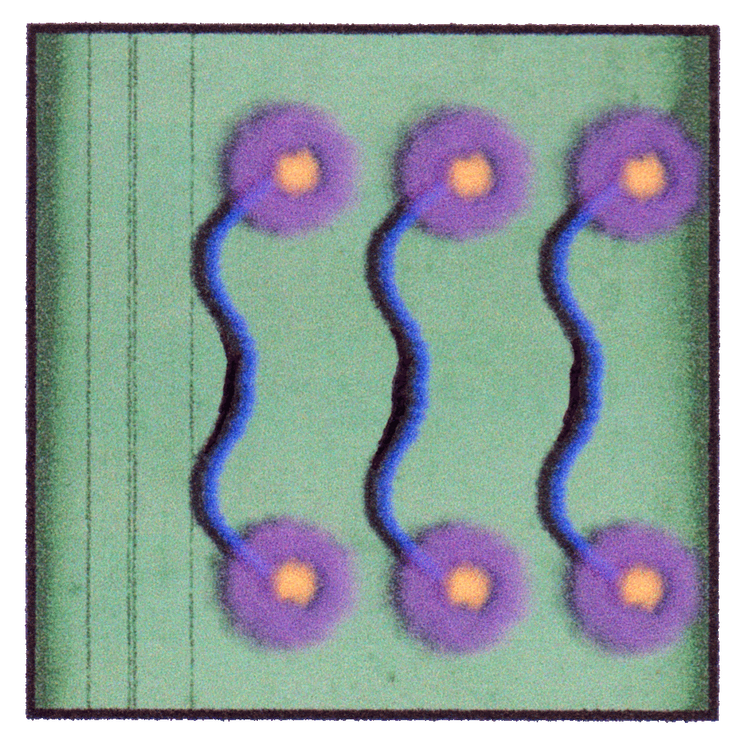 loop-4-loop.gif
