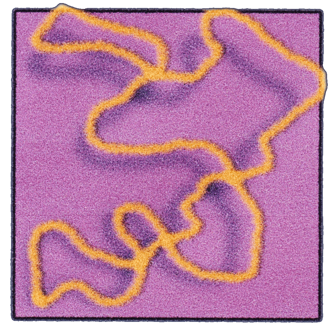 loop-3-loop.gif
