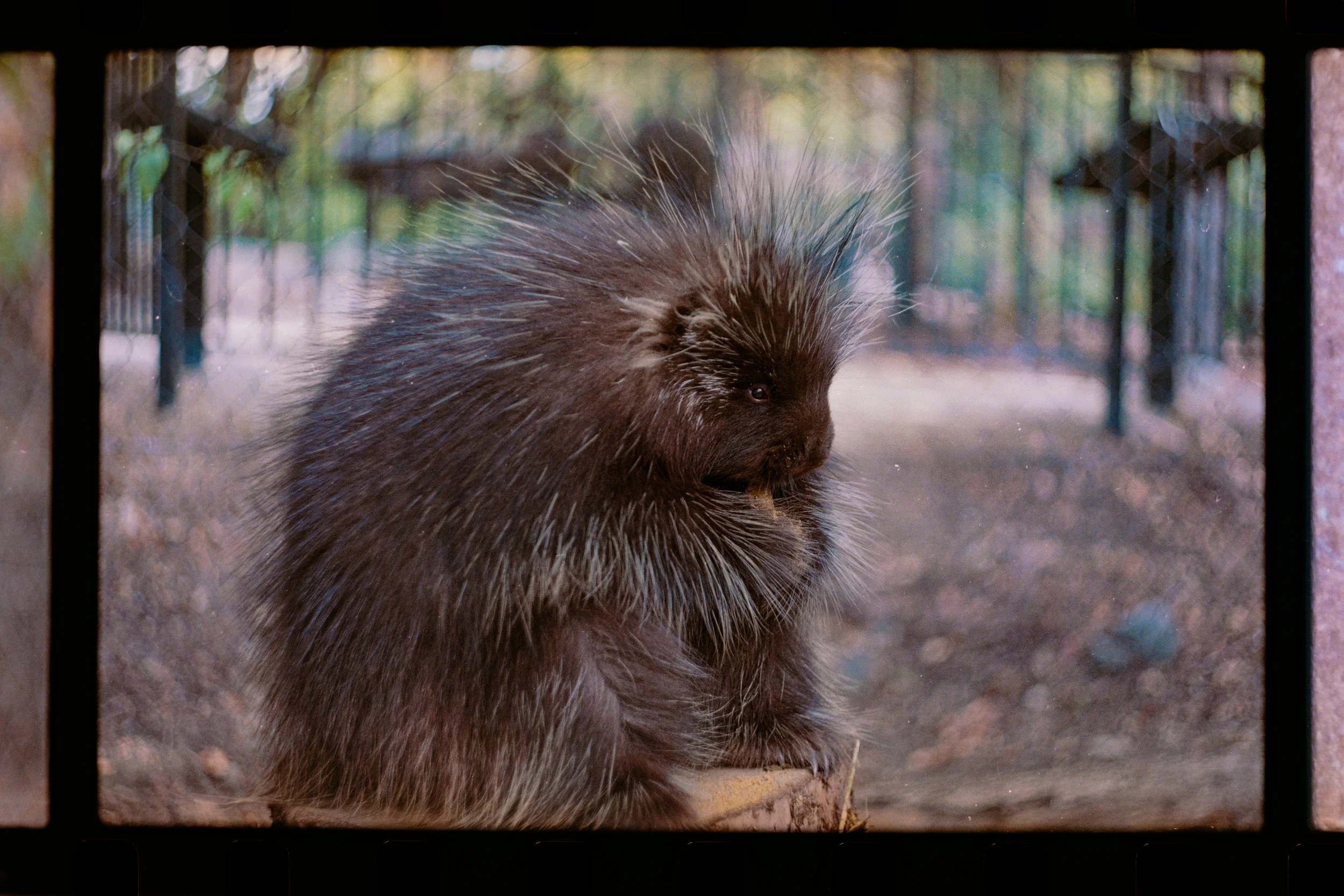 Film-16.JPG