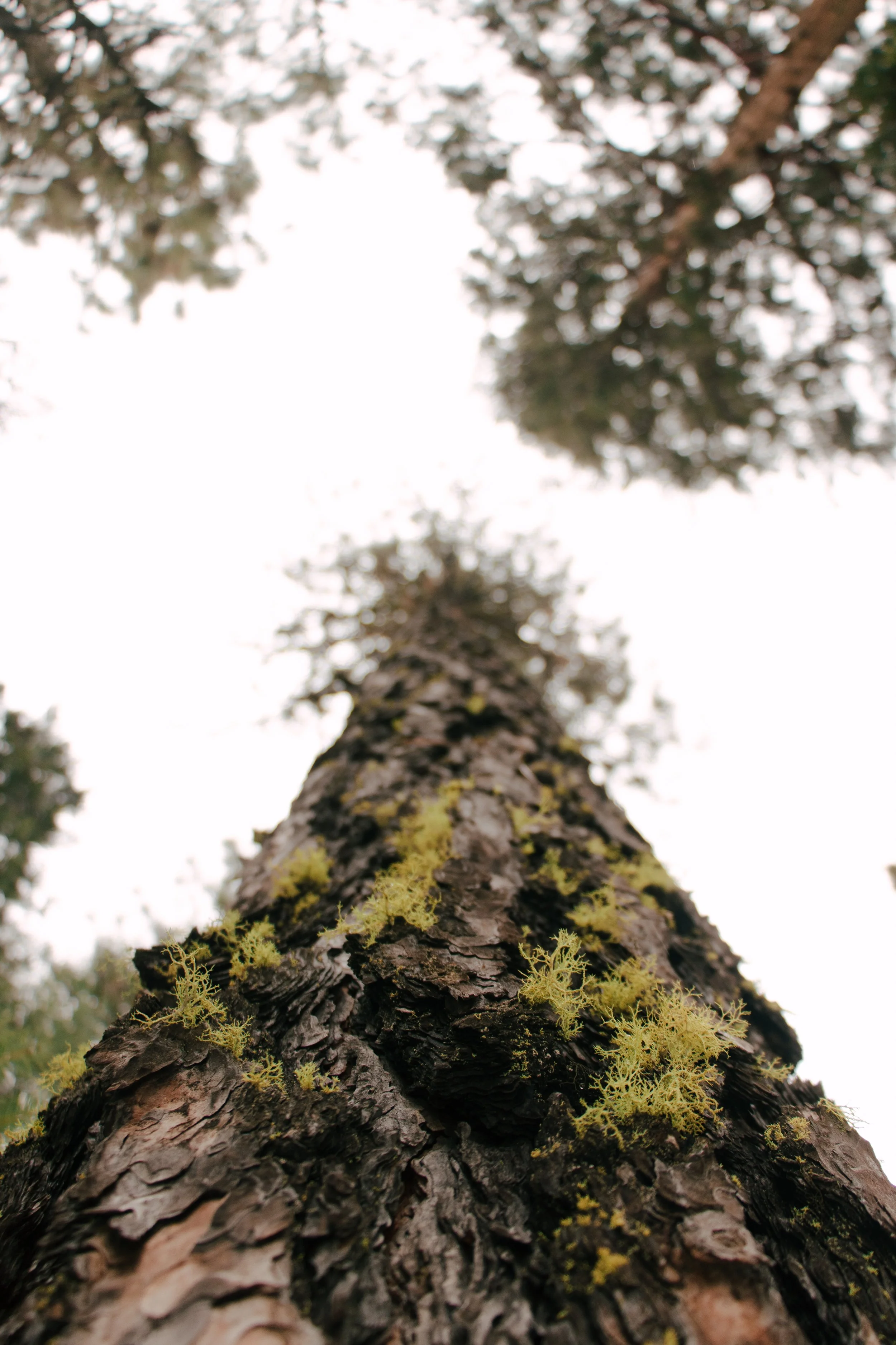 Landscape-16.jpg