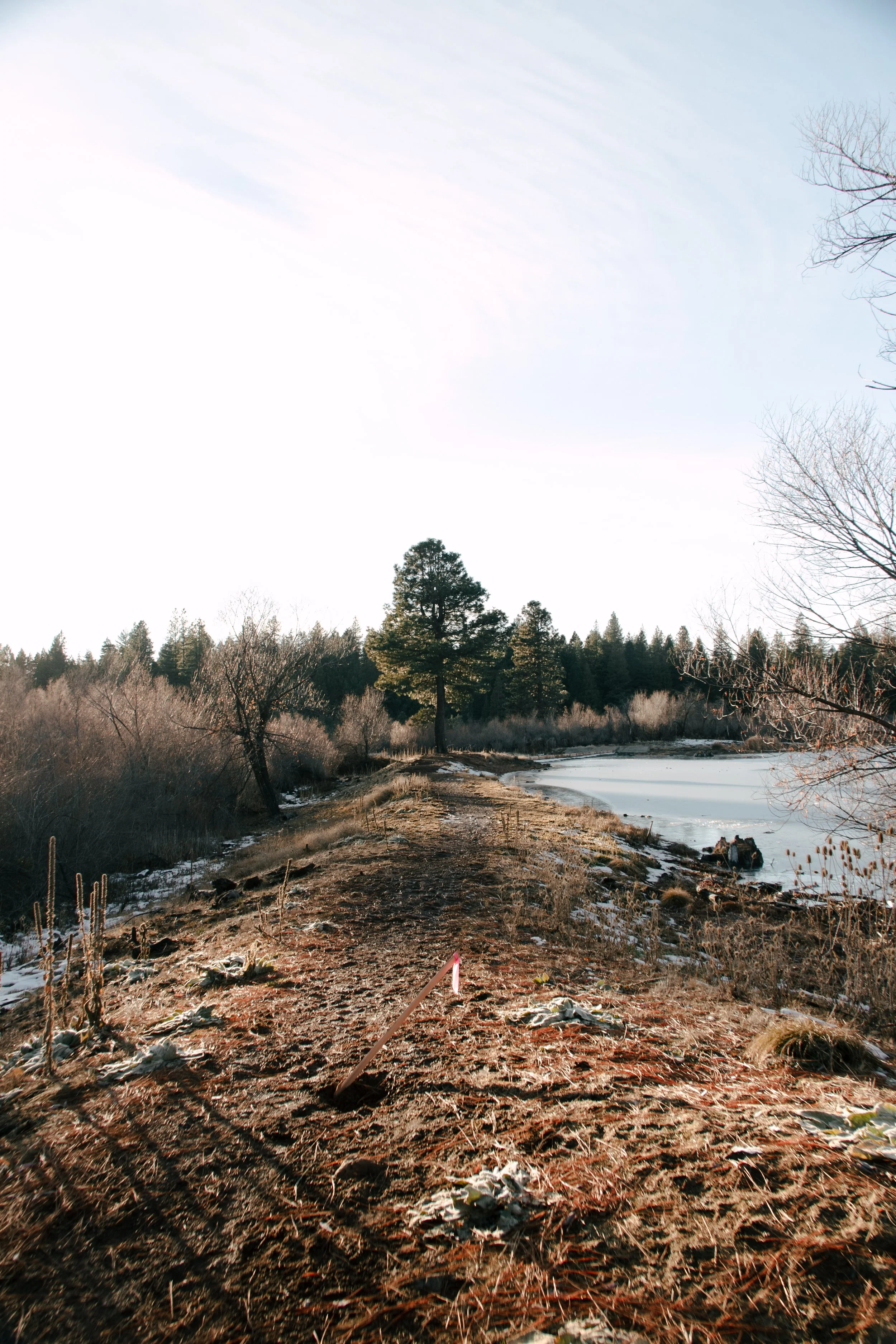 Landscape-17.jpg