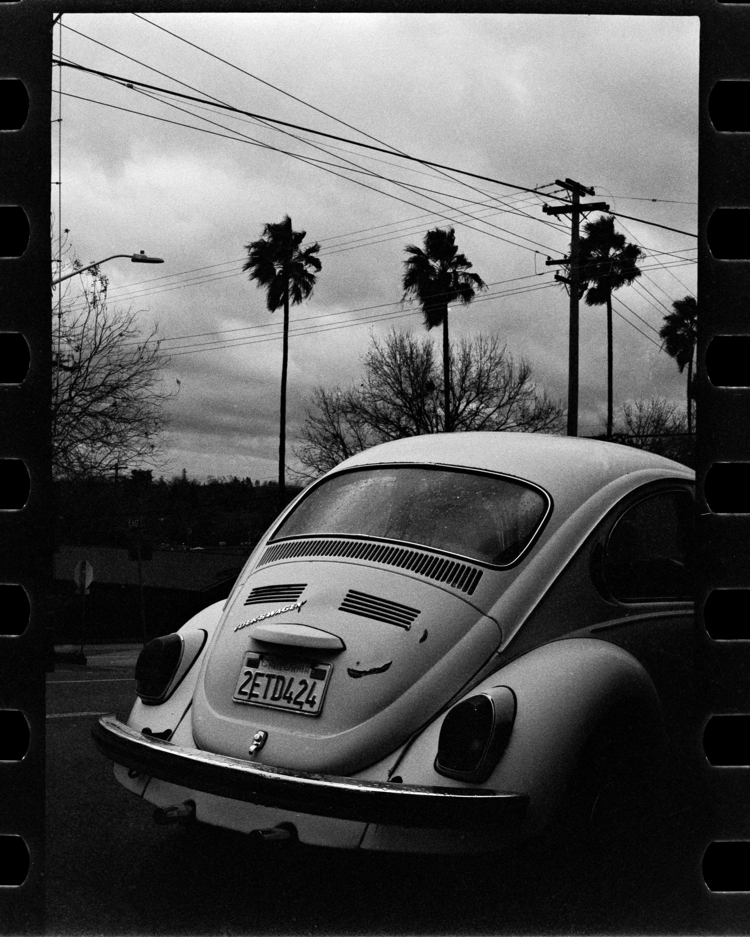 BW Film-01.jpg