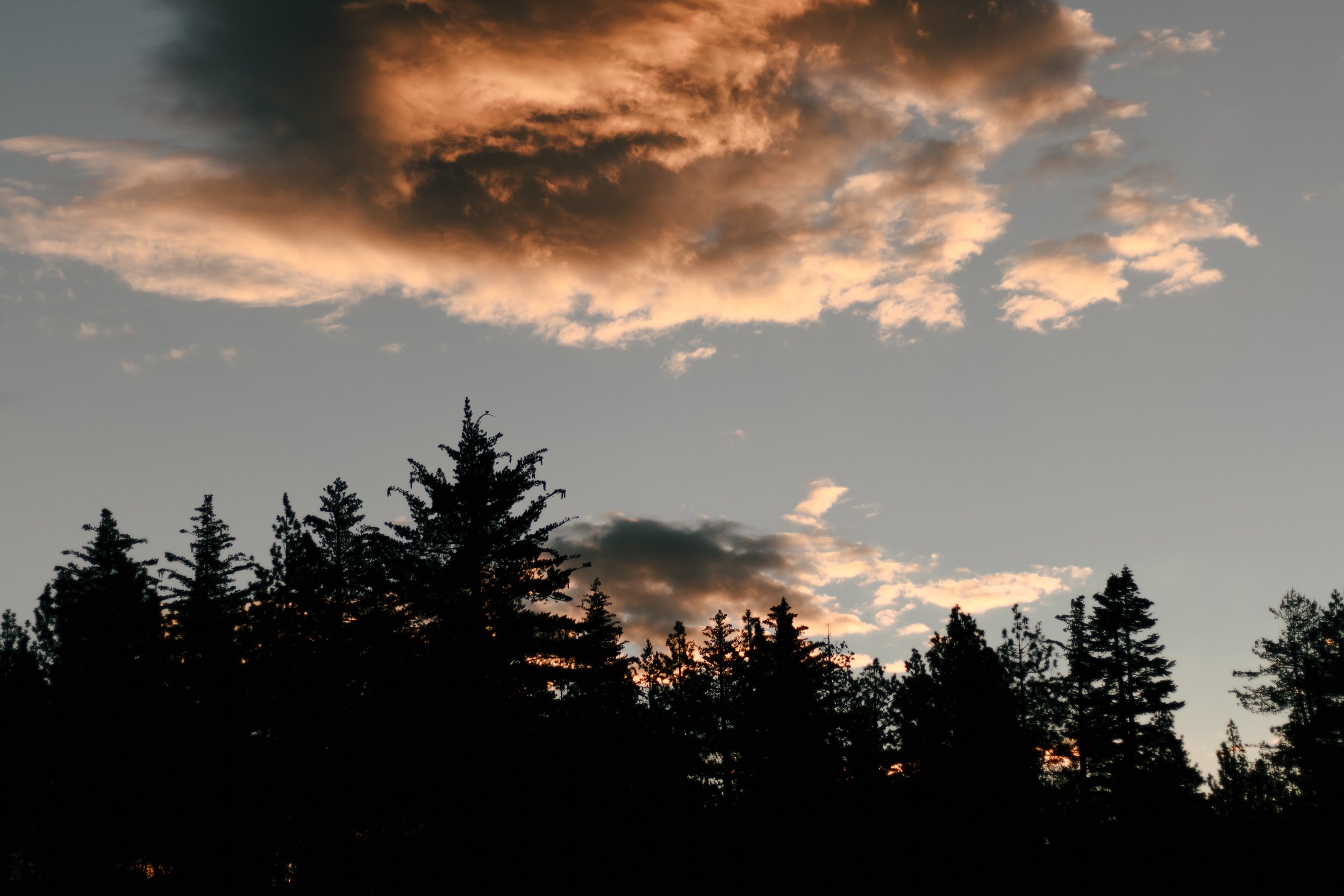 Landscape-03.jpg