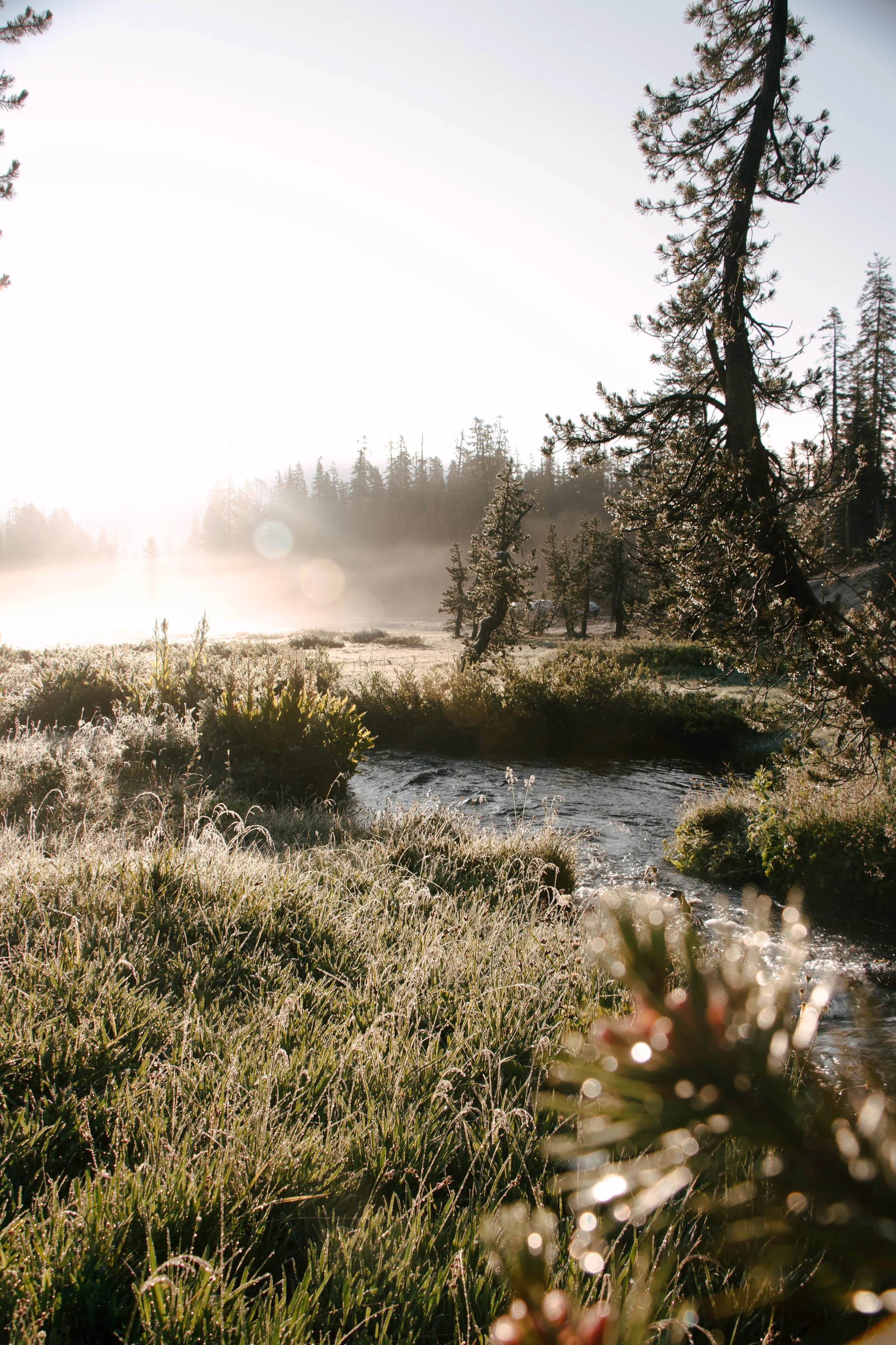 Landscape-11.jpg