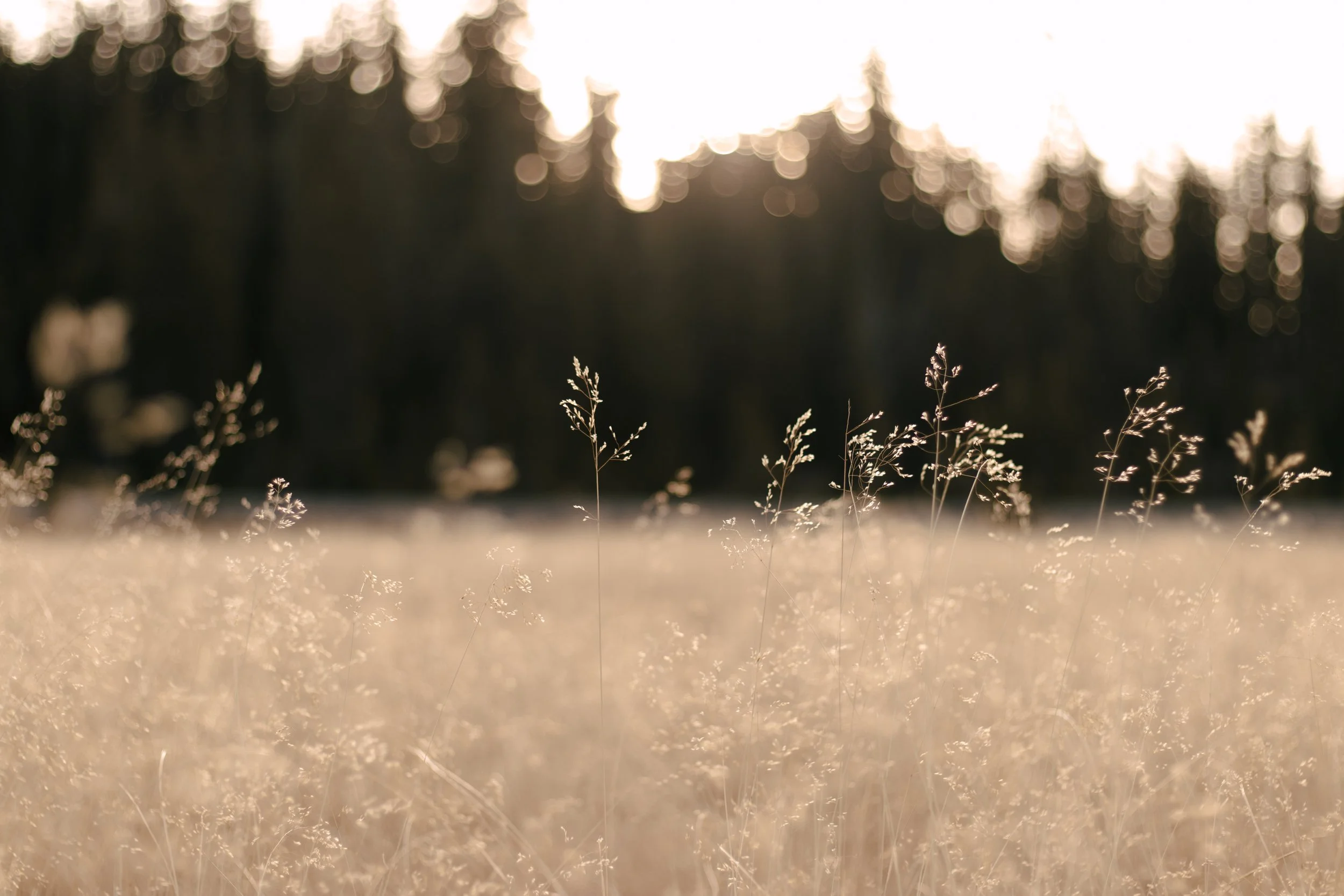 Landscape-05.jpg