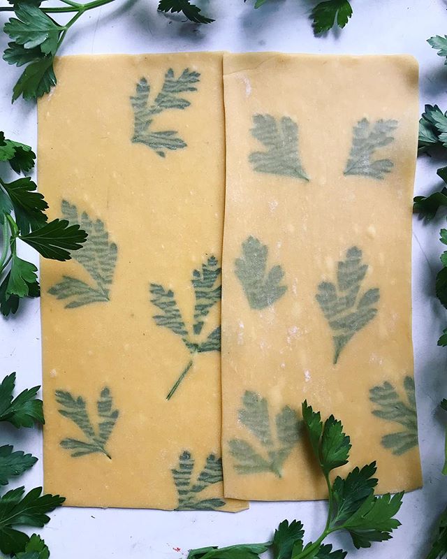 In love with these parsley pasta sheets for lasagna! Spend this rainy weekend trying out my recipe for Homemade Pasta with Edible Flowers/Herbs 💕 recipe link in my profile #messycooking &bull;
&bull;
&bull;
&bull;
&bull;
 #homemadepasta #howisummer 
