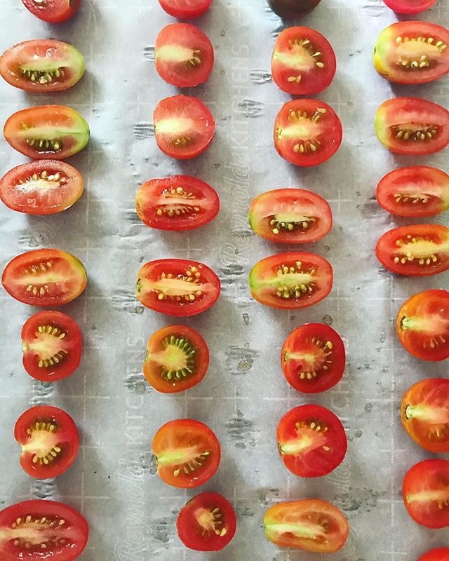 This is exclusively a tomato appreciation account now #messycooking