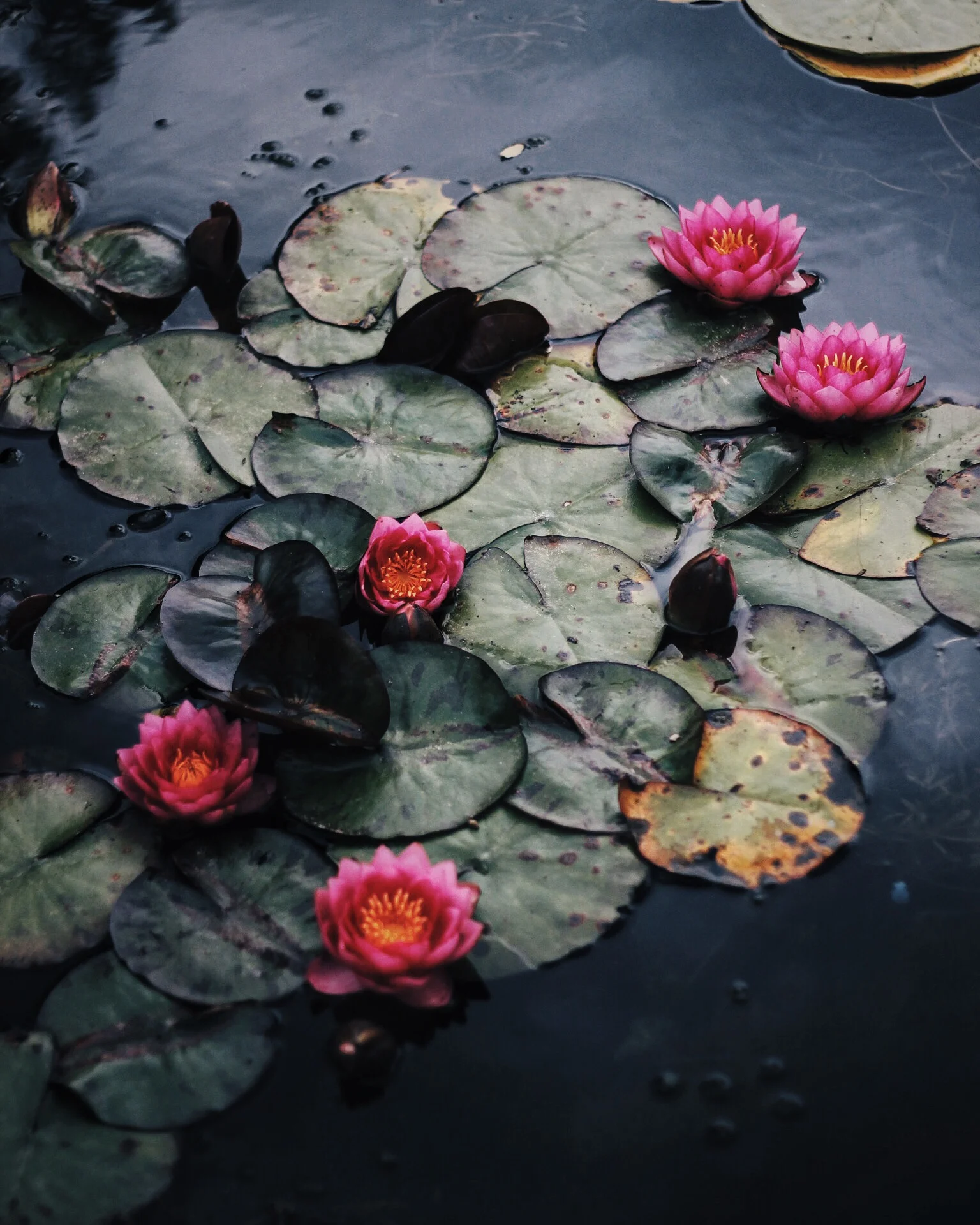 Photo 24-07-2016, 20 05 09.jpg