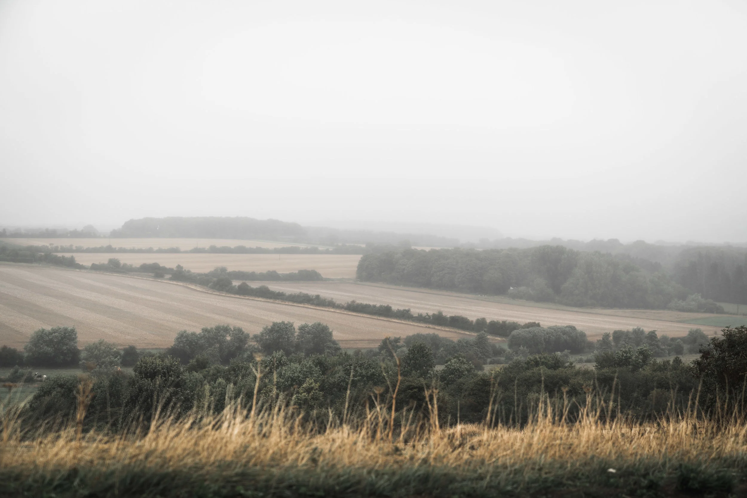 Foggy hills in the Cotswolds