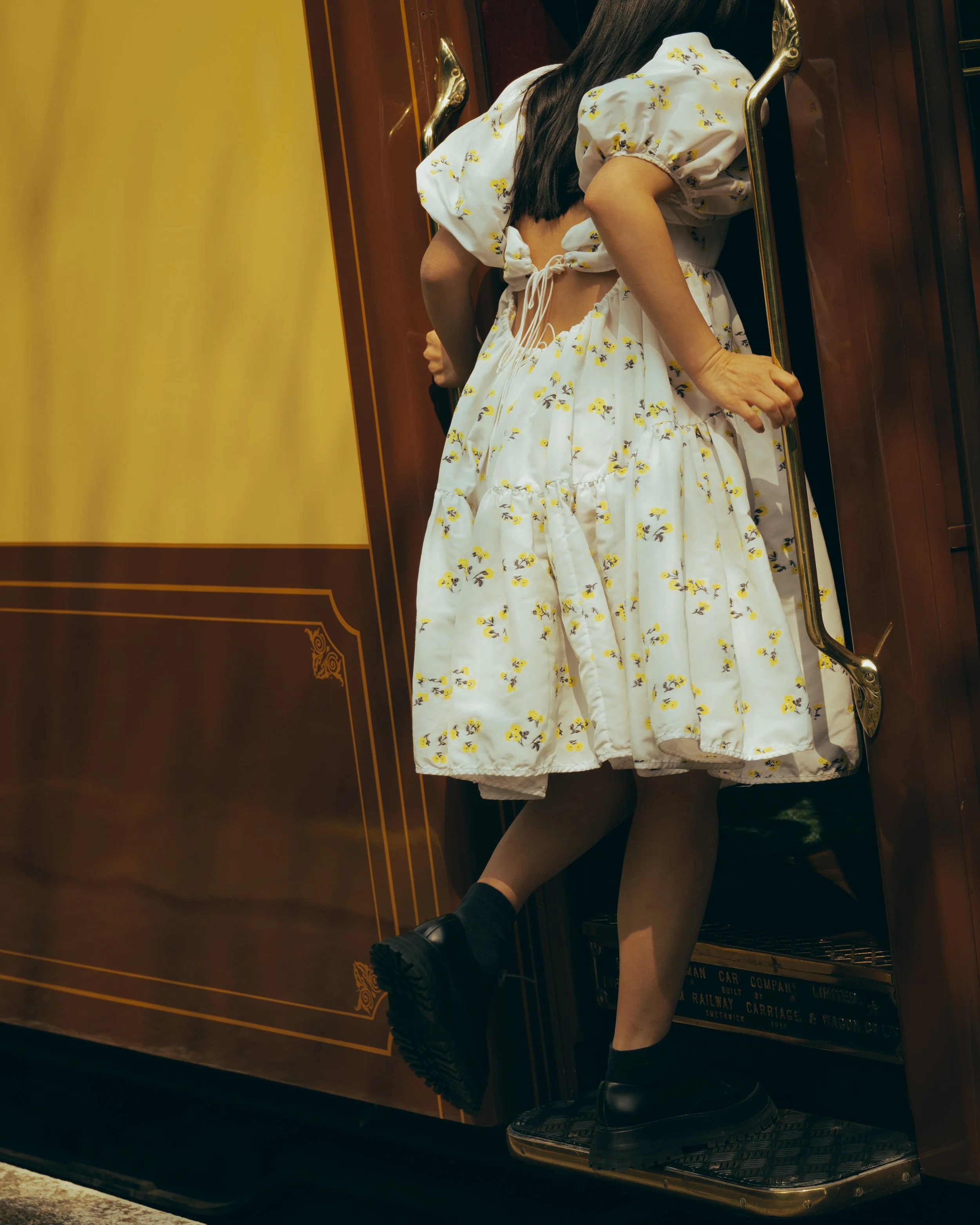 Alixe_BritishPullman_6.jpg